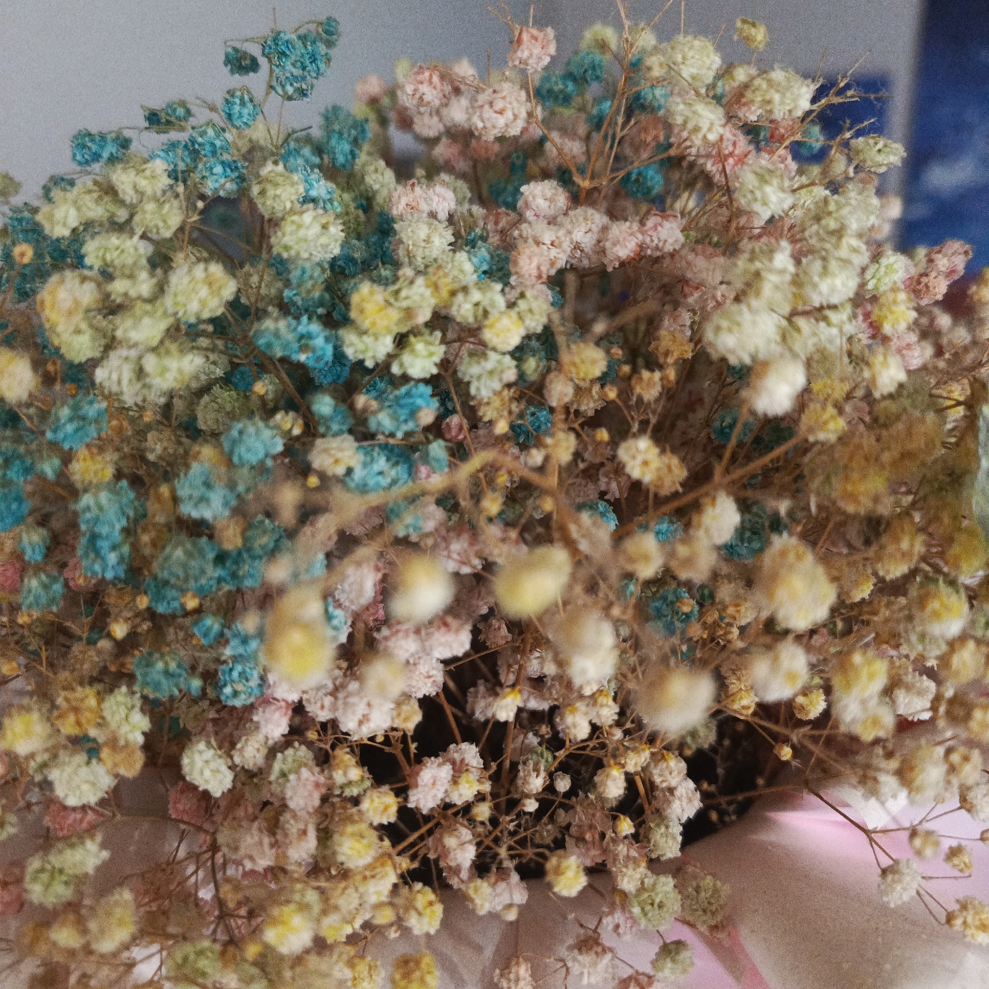 A close-up, overhead shot shows a bouquet of dried baby's breath flowers. The flowers are dyed in various pastel colors, including light blue, pink, yellow, and white. The stems are thin and brown, creating a delicate network throughout the bouquet. The background is blurred, but appears to be a light gray wall with a hint of blue on the right side, suggesting an indoor setting. There is no indication of the location being in Vladivostok, Russia.