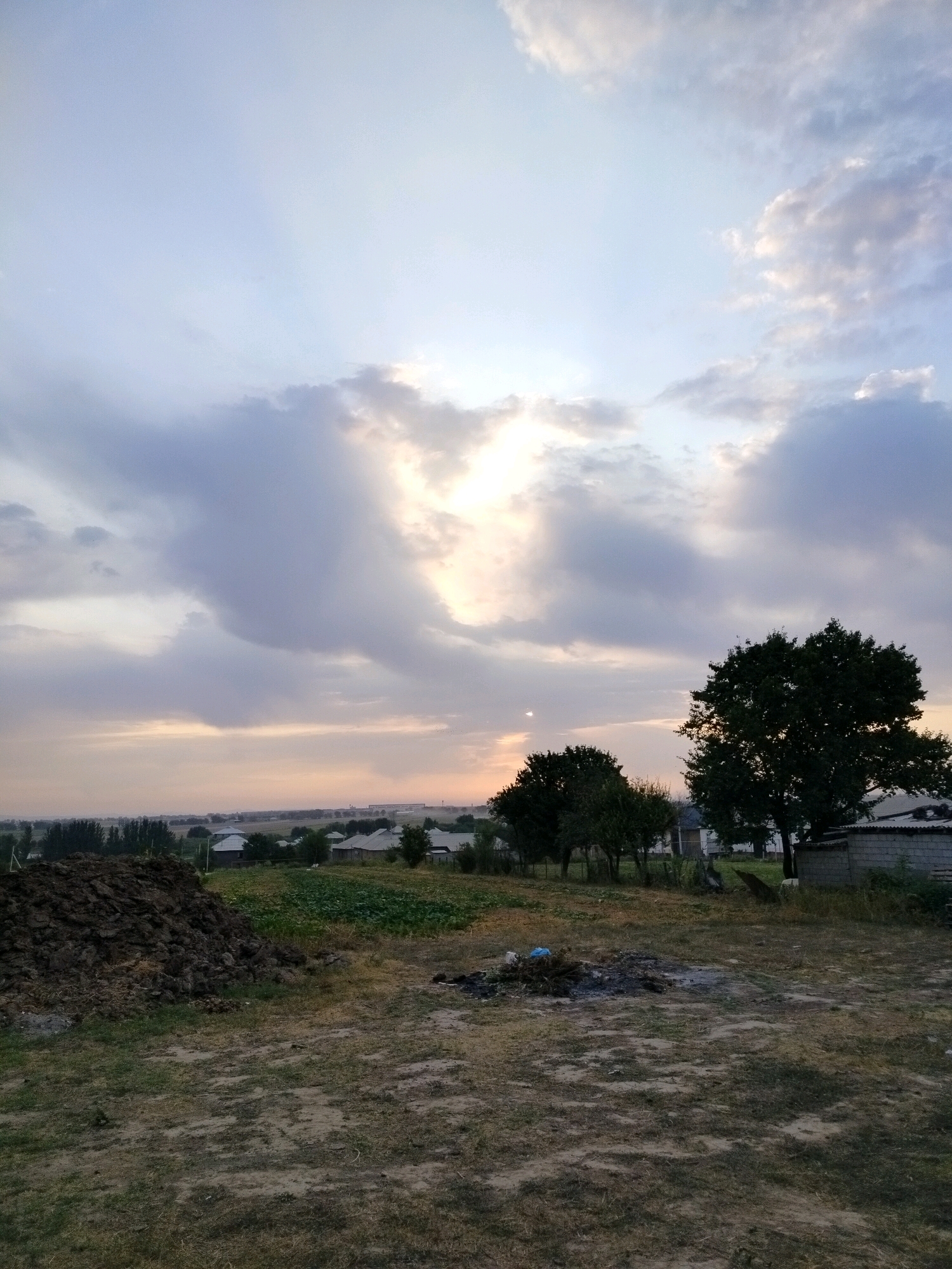 The image depicts a rural landscape at dusk, likely in the vicinity of Көлкент, Kazakhstan. The sky is partly cloudy with sunlight filtering through, creating a soft, diffused light. In the foreground, a pile of dark, organic material, possibly manure or compost, is situated to the left. The ground is covered in dry grass and patches of bare earth.
Further back, a field of green crops is visible, bordered by a line of trees. Beyond the field, a cluster of modest houses with pitched roofs forms a small settlement. A large, dark green tree stands prominently on the right side of the image, its dense foliage casting shadows. Adjacent to the tree is a simple building with a corrugated roof. The overall scene suggests a quiet, agricultural setting as the day draws to a close. There are no people visible in the image.