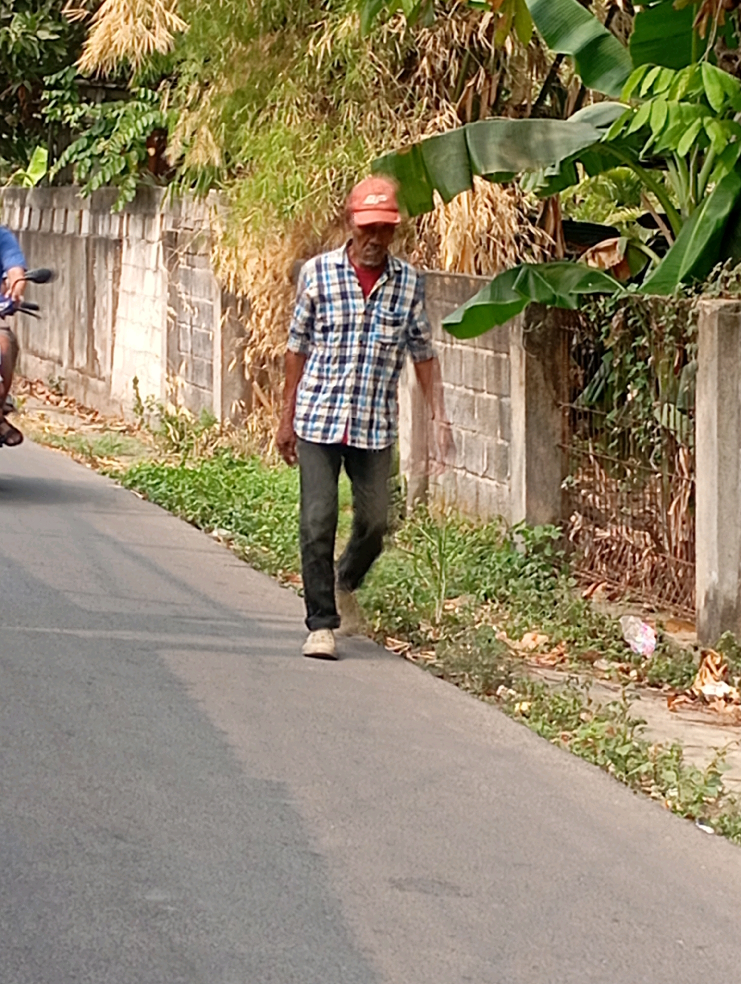 An unidentified adult male wearing a blue and white checkered shirt, dark pants, and an orange baseball cap walks along the edge of an asphalt road. The man is walking towards the right of the frame. A motorcycle is partially visible on the left side of the image, with a person on it facing away from the camera. The background consists of a weathered concrete wall, lush green foliage, and some dry, tall grass. The environment appears to be a roadside in a tropical or subtropical region. There is some scattered litter along the side of the road, including a plastic bag and some dried leaves. The lighting suggests it is daytime. The scene is likely in Babelan, Indonesia, given the presence of tropical vegetation and the style of the wall.