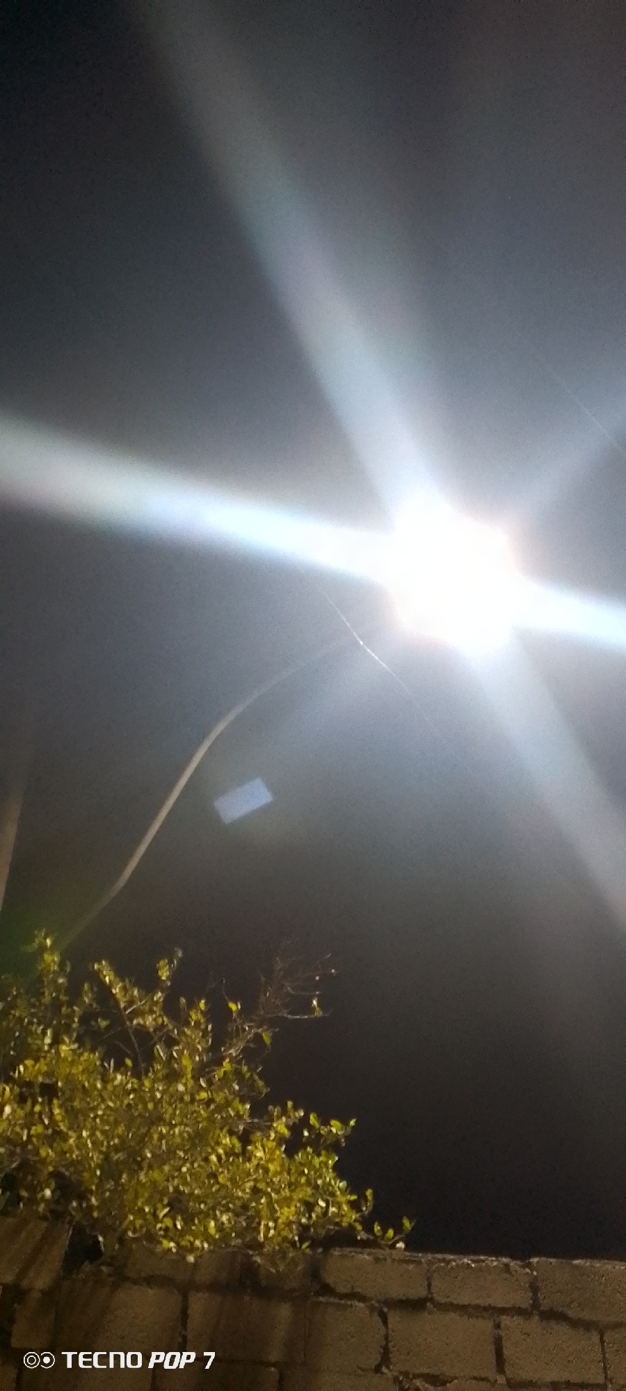 A night shot shows a street lamp shining brightly in the sky above a stone wall and foliage. The location is Altagracia, Venezuela. A single light pole can be seen leading up to the street lamp. A small sign hangs off the light pole. A shrub with green leaves is positioned on top of a brick wall.