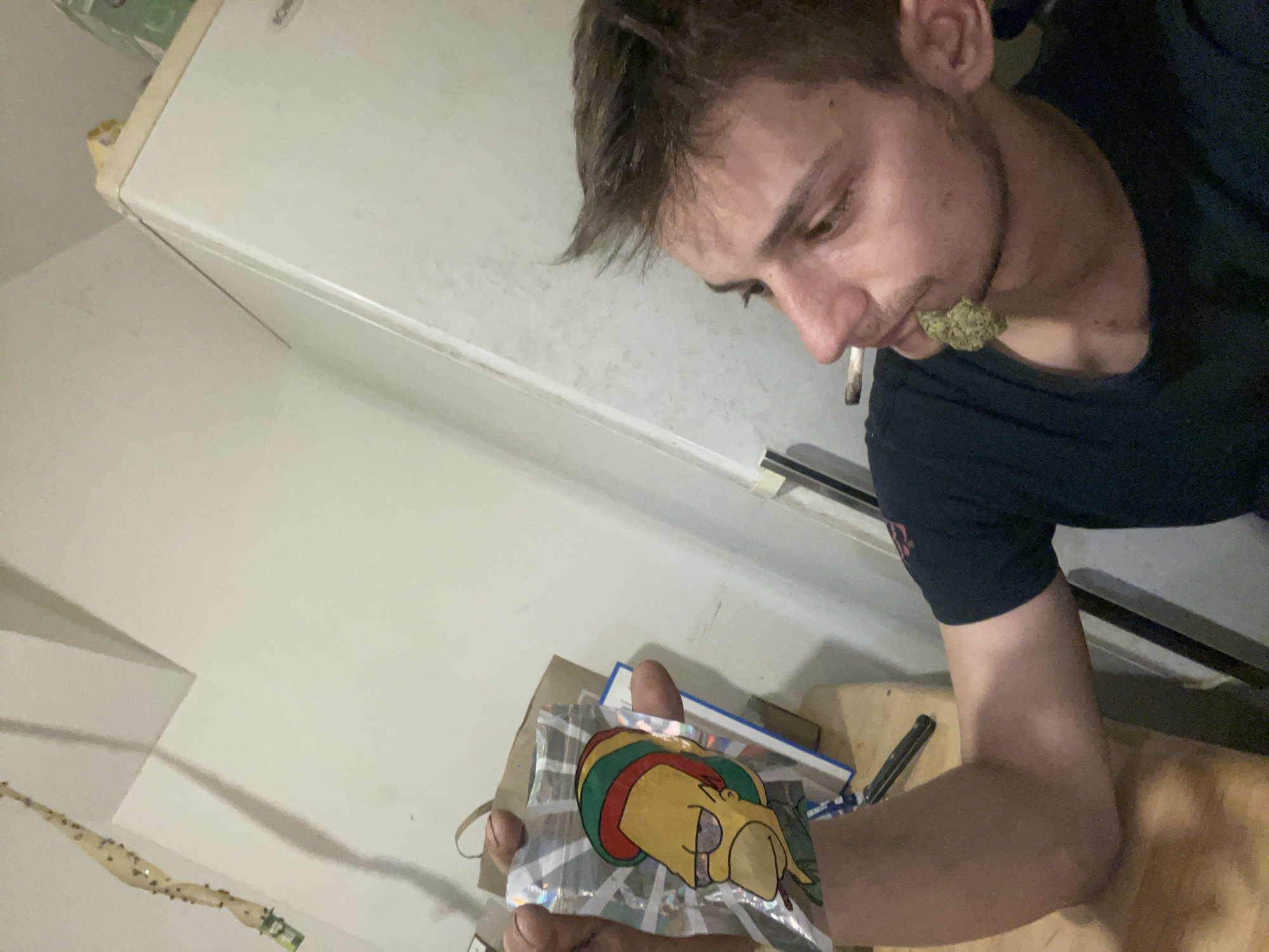 A young adult male, appearing to be of Caucasian descent, is shown in a close-up, medium-angle, indoor shot. He has short, brown hair and is wearing a dark t-shirt. The male is holding a shiny, reflective bag with an image of Homer Simpson wearing a Rasta-style hat. A small bud of cannabis is visible in the male's mouth. The background is out of focus, showing a white wall, a refrigerator, and what appears to be a wooden table. The lighting is dim.