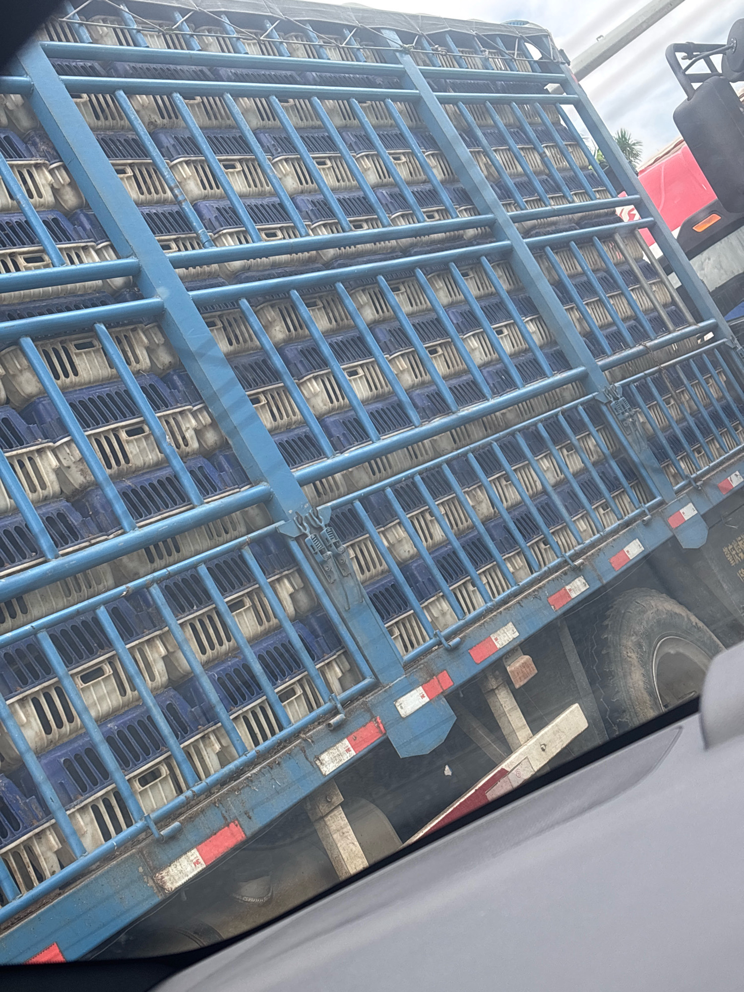 The image captures a blue truck trailer loaded with stacked blue and white crates, viewed from an elevated perspective, possibly from another vehicle. The trailer appears to be in motion, indicated by the blurred motion of the crates and the tilted angle of the shot. The crates are arranged in neat rows and columns, filling the majority of the trailer's visible surface. The truck itself is a robust, utilitarian vehicle, with visible tires and structural components. The background is indistinct, suggesting an outdoor setting possibly within an urban or industrial area, with hints of a cloudy sky and a palm tree suggesting a location in Sanshui District, China. The overall scene depicts the logistics of transport, with a focus on the cargo itself.