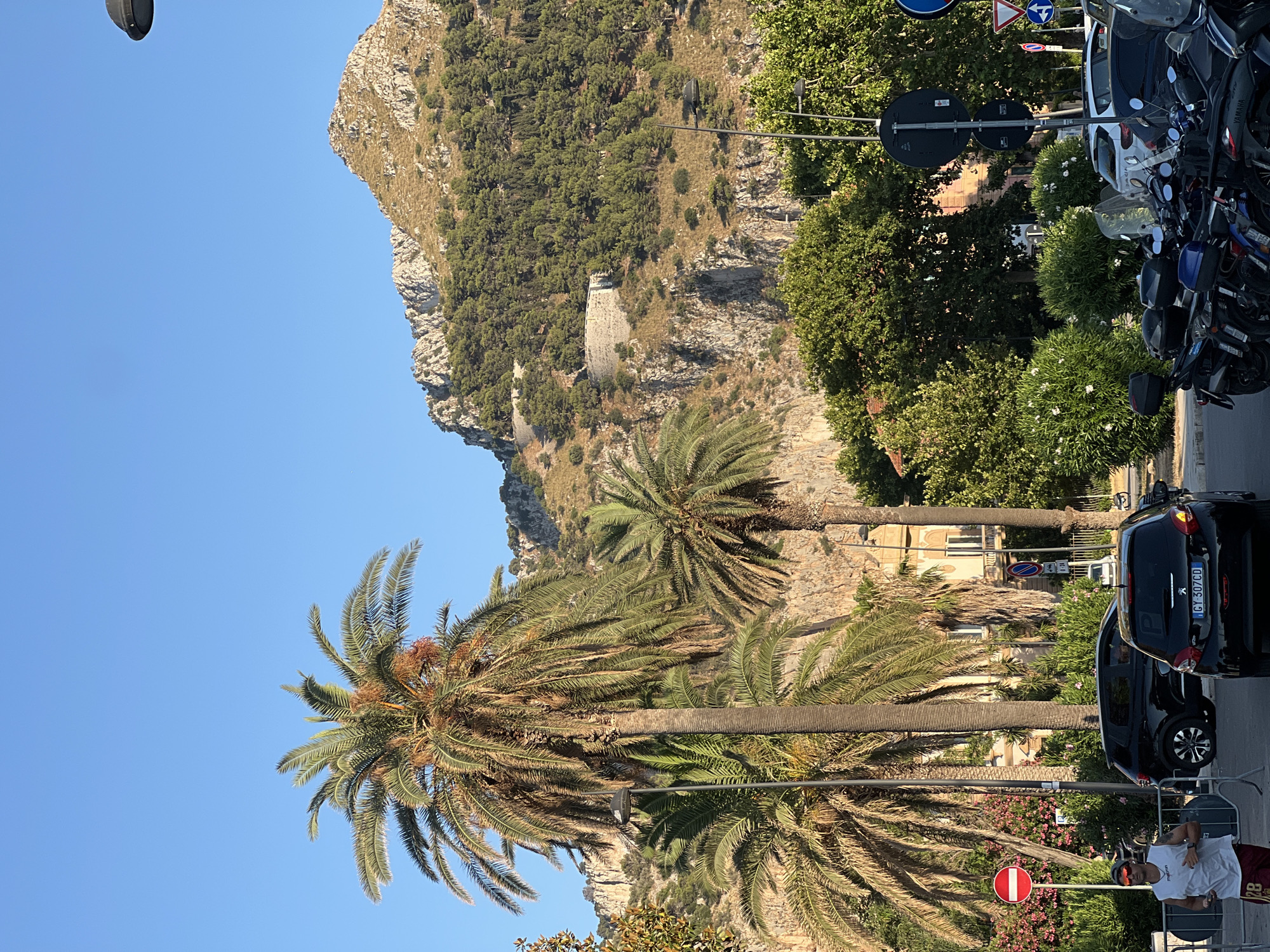 The image captures a street scene in Palermo, Italy, likely near Monte Pellegrino, given the prominent mountainous backdrop covered in trees and a stone structure on its side. In the foreground, several large palm trees dominate the view, their fronds casting shadows. A black car is parked on the right side of the street, and several motorcycles are lined up further down. On the left, a man in a white tank top and red shorts is jogging, while a red and white circular traffic sign is visible behind him. The street is paved, and lush green bushes and trees line the sides. The sky is a clear, bright blue.
