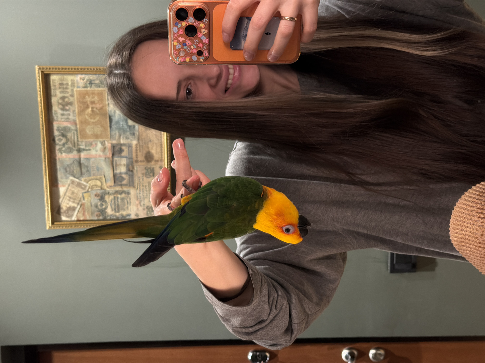 The image shows a person holding a parrot. The person is taking a selfie with their phone. The parrot is perched on the person's arm. The background includes a framed picture on the wall and a dresser or cabinet. The location is unspecified.