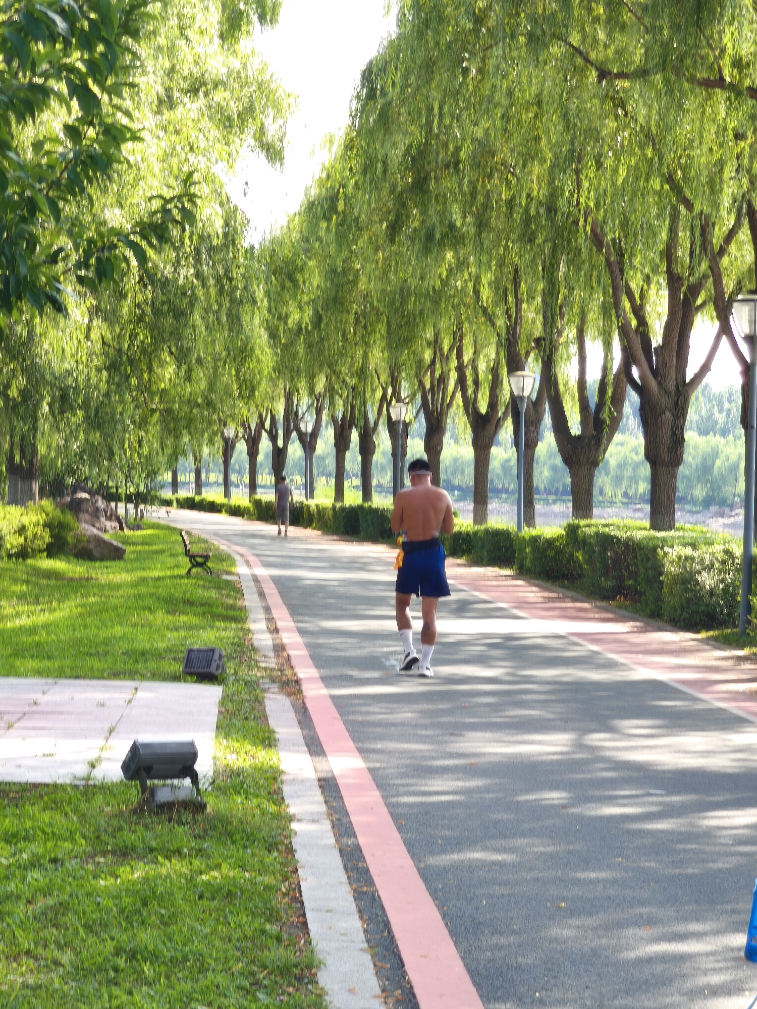 The image depicts a paved pathway lined with trees and a manicured lawn. A man, shirtless and wearing blue shorts and white socks with athletic shoes, is jogging away from the viewer on the pathway. The pathway has a pink stripe running along its edge. The trees, with their long, drooping branches, create a canopy over the path, casting shadows on the ground. In the background, a body of water is visible, bordered by more trees. On the left side of the pathway, a lawn is mowed and there are some rocks and a bench. Several dark-colored, rectangular outdoor lights are positioned on the grass near the edge of the pathway. The scene suggests a park or recreational area in Nanguan District, China, likely during daylight hours.