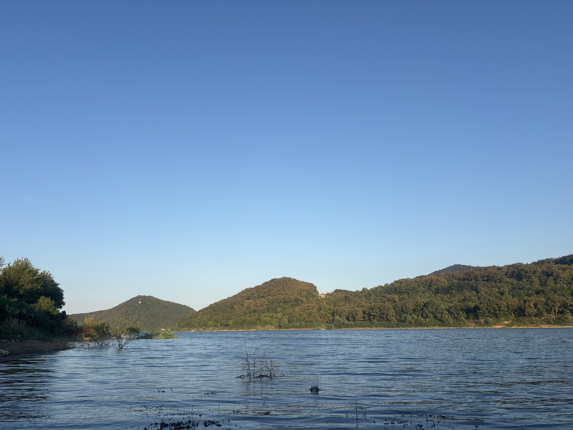 A wide shot captures a serene natural landscape under a clear blue sky. In the foreground, calm, blue water gently laps against a rocky and vegetated shoreline on the left. The water surface exhibits subtle ripples and reflects the light. A few sparse reeds and a submerged object are visible in the water.
Dominating the middle ground and background are rolling hills covered in dense, green trees, some showing hints of autumn colors. The hills create a layered effect, receding into the distance. On the leftmost hill, a small clearing or structure is faintly visible. The furthest hills fade into a lighter green, suggesting atmospheric perspective.
The scene is set in the vicinity of Asparuhovo, Bulgaria, likely a reservoir or a large lake bordered by these hills. No people, animals, or man-made structures other than the hint of a building on the hill are discernible, emphasizing the tranquility and natural beauty of the environment. The overall impression is one of peacefulness and natural splendor during daylight hours.