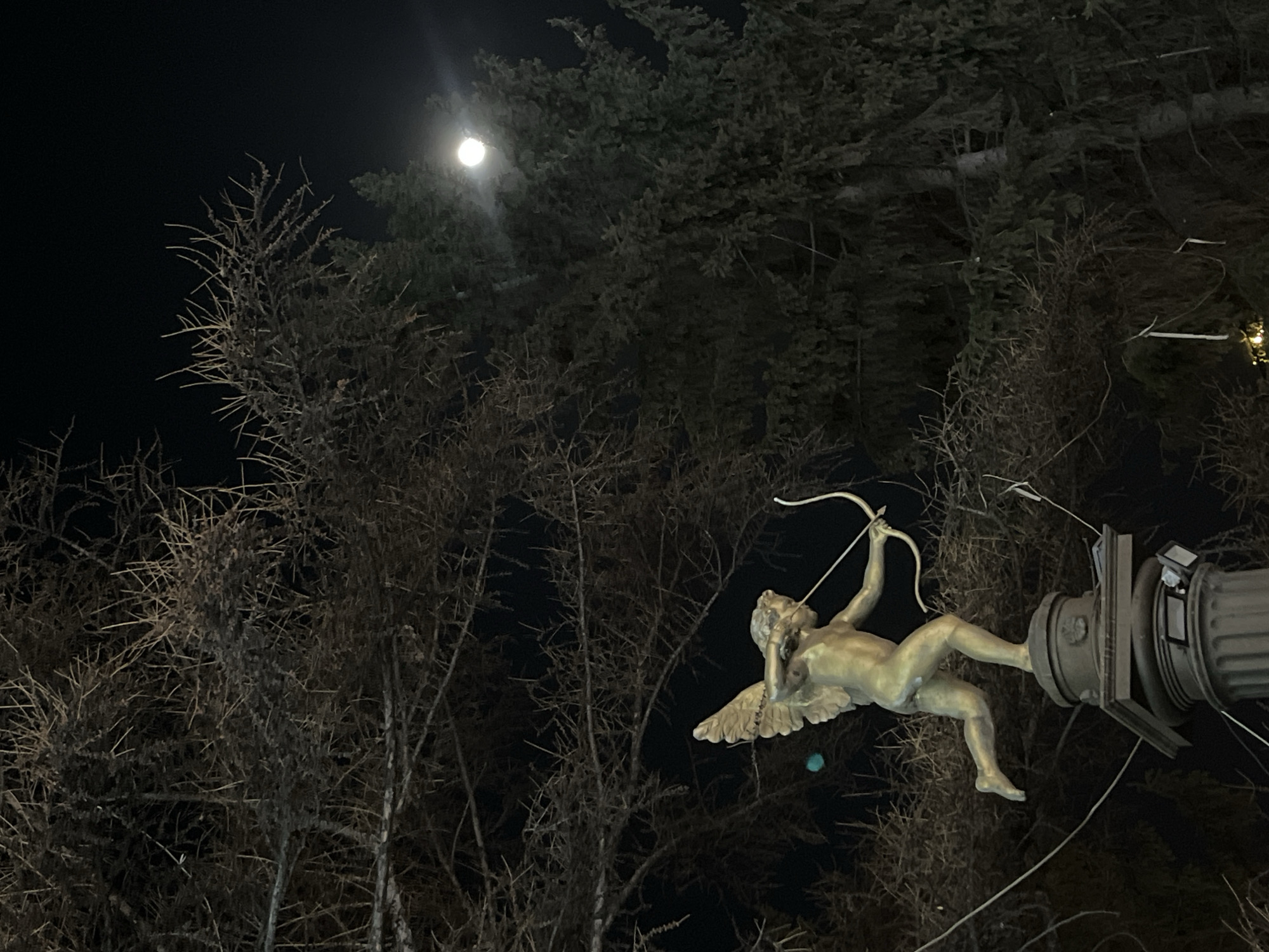 A nighttime view features a statue of a golden winged Cupid aiming a bow and arrow, mounted atop a decorative column. The statue is set against a backdrop of trees, their bare branches silhouetted against the dark sky, with a bright moon visible above them. The location is Krasnoyarsk, Russia.