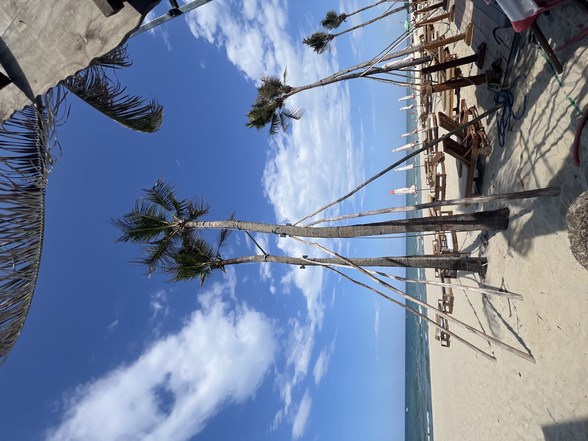 The image shows a beach scene at the beach in Da Nang, Vietnam, on a clear day with a bright blue sky and scattered white clouds. The foreground features sandy beach with several palm trees, some of which are supported by wooden poles. There are also rows of lounge chairs and closed umbrellas arranged on the sand, suggesting a resort or public beach area. In the distance, the ocean is visible with a few people and small boats in the water. The overall impression is a serene tropical setting.