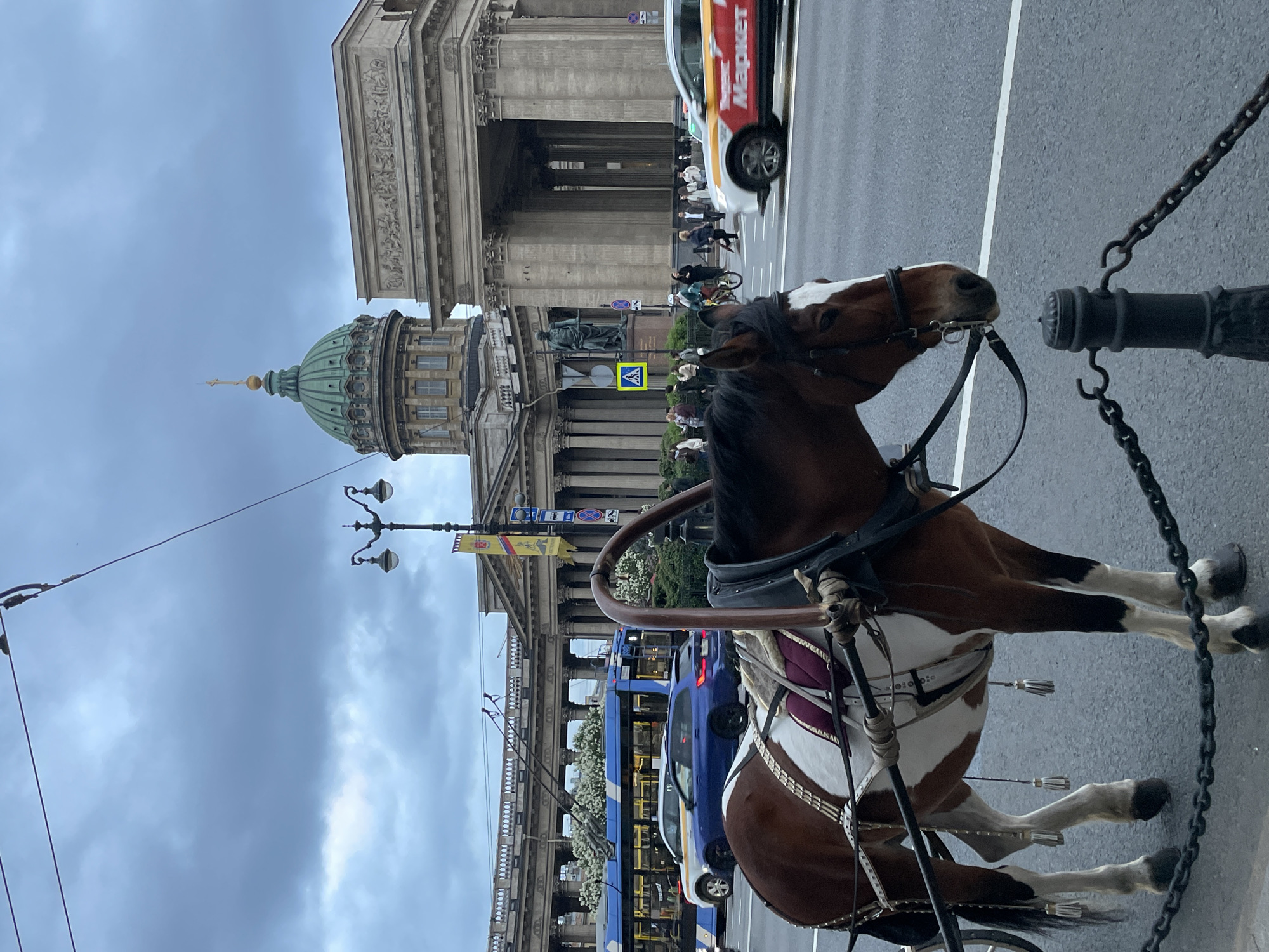 A medium, vertical shot depicts a horse harnessed to a carriage, with the Kazan Cathedral in the background, suggesting the location is Saint Petersburg, Russia. The horse is brown and white, standing near a black metal post connected to a chain. Behind the horse, pedestrians are visible on the street, along with vehicles, including a taxi. The sky is overcast, contributing to a muted, grayish-blue background. The Kazan Cathedral's dome and colonnade are prominent features, while overhead electric lines and street lamps are also visible.