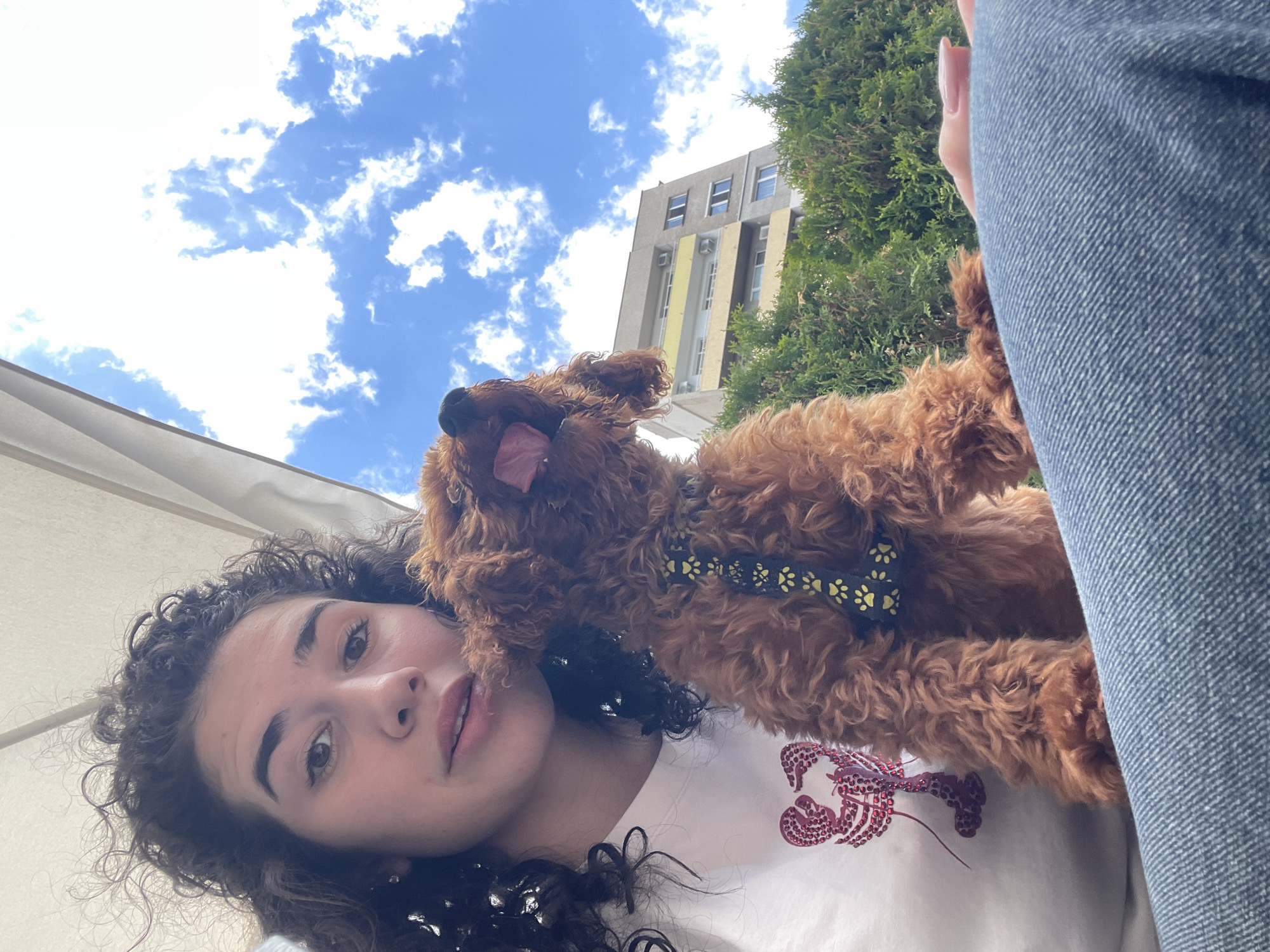 A woman with curly hair is taking a selfie outdoors with a brown poodle. The woman is wearing a light-colored shirt with a red lobster design. The poodle is wearing a black harness with yellow paw prints. The background shows a building with yellow accents and green trees. The sky is blue with scattered clouds. The image appears to be taken in the city of Sofia, Bulgaria, but the specific location cannot be determined.