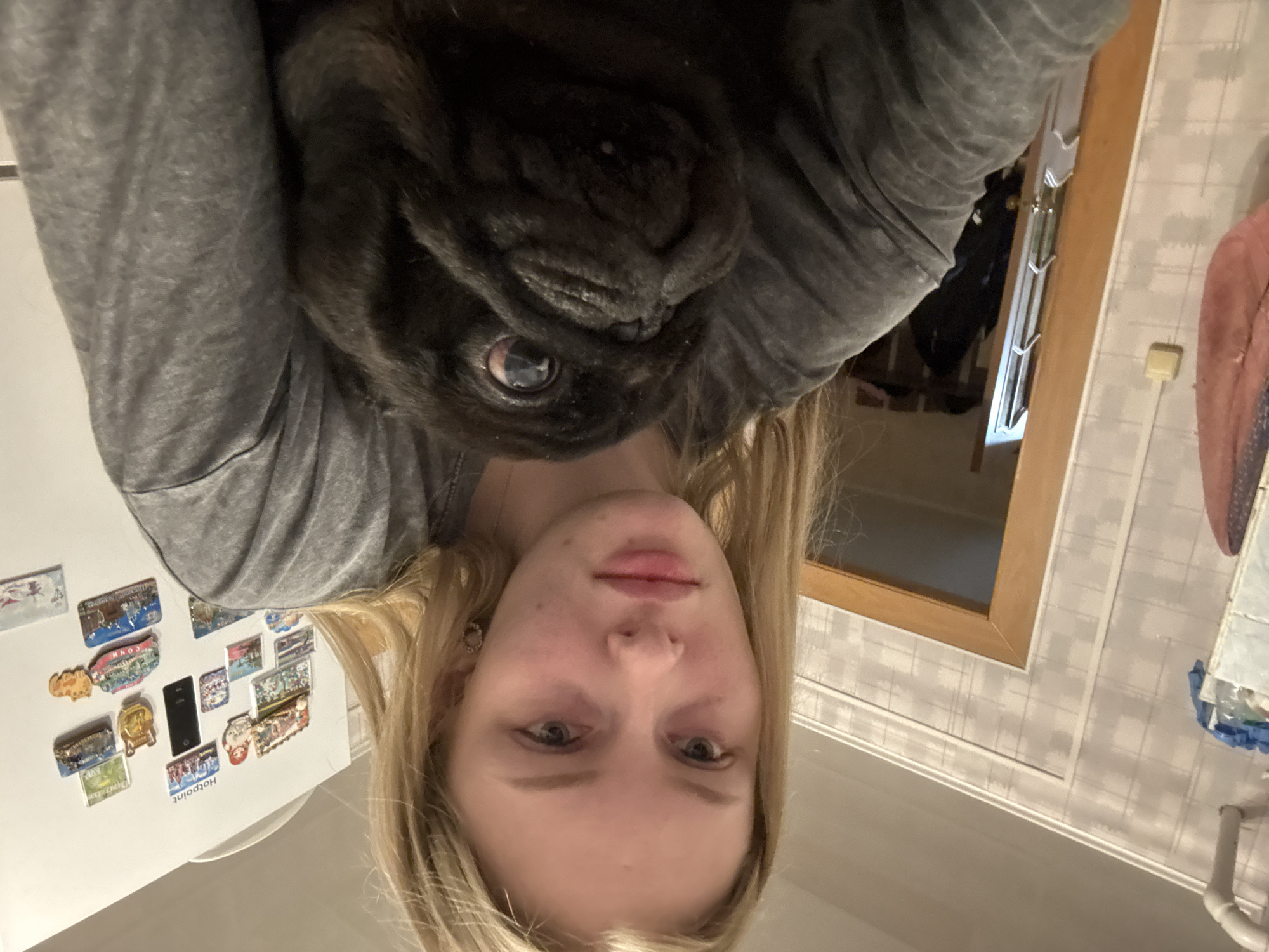 A blonde woman is holding a black pug dog close to her face in an indoor setting. She is wearing a grey long-sleeved shirt. The dog's head is above hers. Behind her is a refrigerator with numerous magnets and stickers, and a door and patterned wall in the background. The location is Бородулино, Russia.