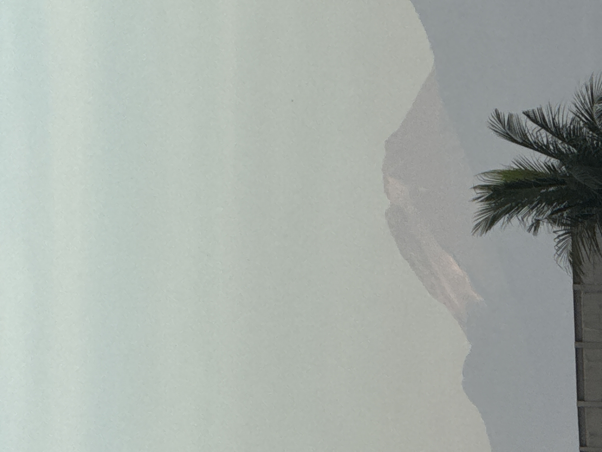 The image depicts a partial view of a palm tree against a hazy, overcast sky. The lower right shows a portion of a building with vertical architectural elements. The background seems to show a mountain outline partially hidden by fog. This might be taken in Davao City, Philippines.