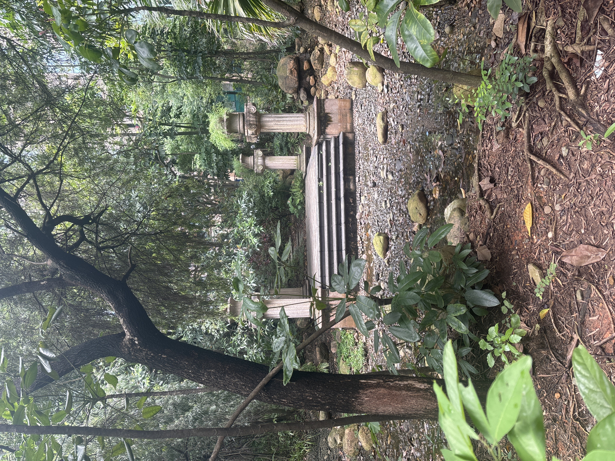 The image depicts an outdoor scene in a garden or park setting within the Nanhai District, China. The foreground is dominated by a large tree trunk on the left, with lush green foliage and exposed roots covering the ground. A small stream or dry creek bed with scattered pebbles and rocks runs through the middle ground. In the background, there is a raised wooden platform with stairs, flanked by two ornate stone columns. The larger column on the right has a planter with greenery on top. The surrounding environment is densely vegetated with various trees and plants, creating a naturalistic atmosphere. The lighting suggests it is daytime, possibly overcast or shaded. There are no people visible in the image.