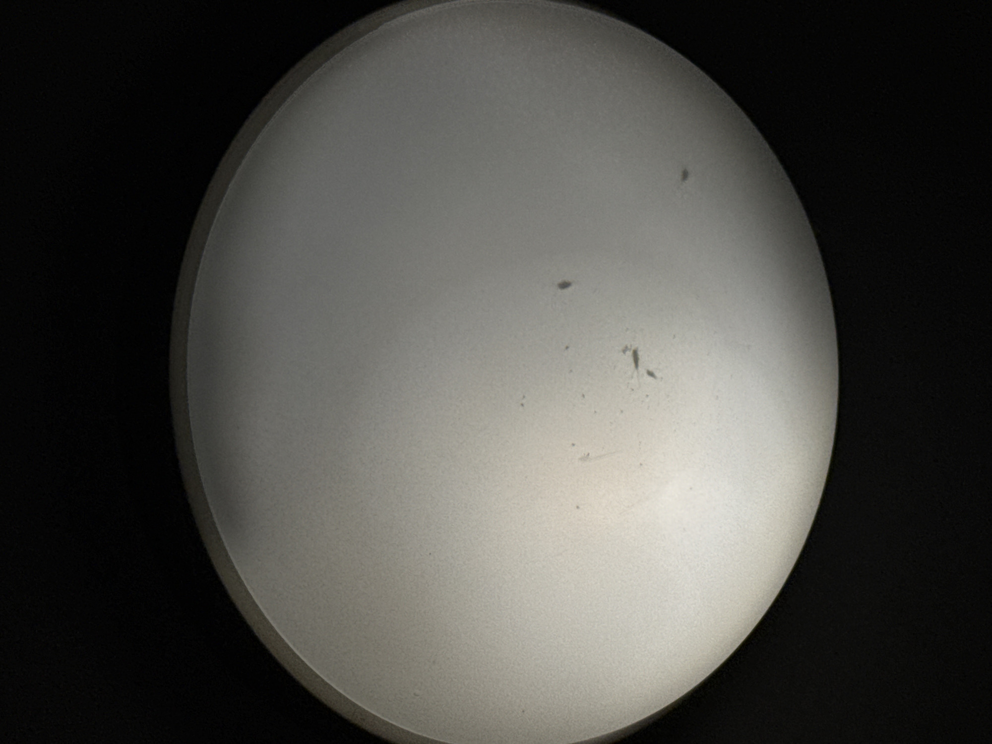 The image shows a close-up view of a frosted glass light fixture, likely a ceiling light, against a black background. The fixture has a matte, slightly textured surface that diffuses the light from within. There are several small dark specks or dust particles visible on the surface of the fixture, with one slightly larger, elongated speck appearing near the center. The overall impression is of an indoor environment, possibly a home or office, in Nizhny Novgorod, Russia. The lighting is soft and even, highlighting the texture of the fixture. There are no people or other discernible objects in the frame.