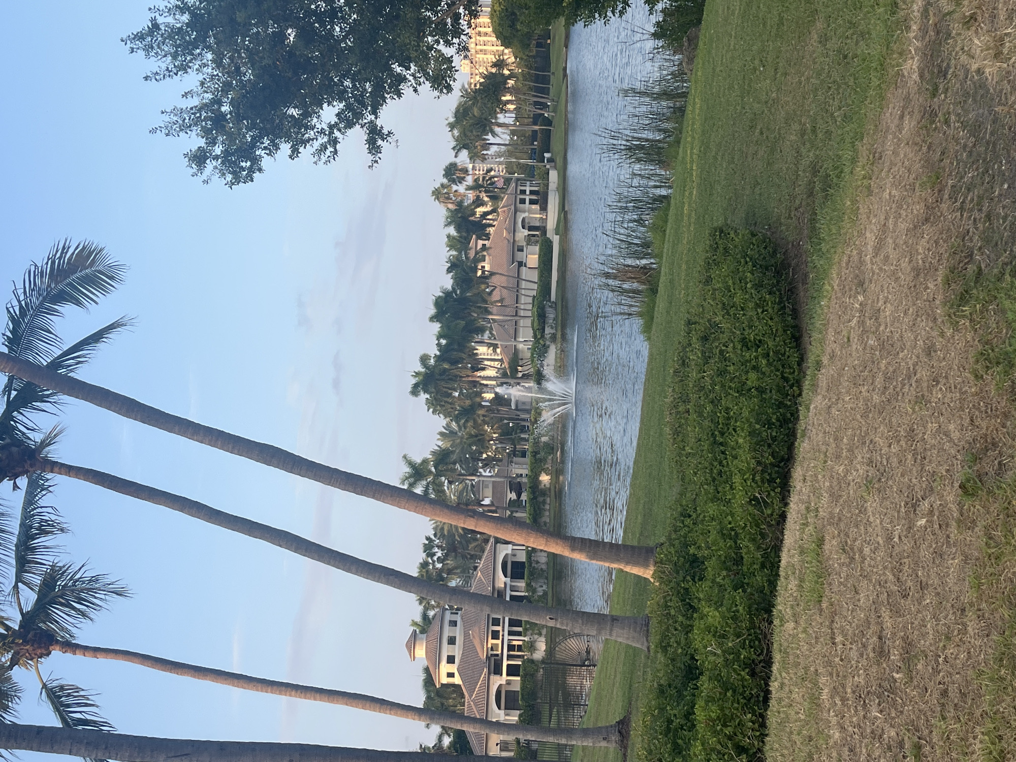In a serene, suburban setting, a tranquil lake reflects the clear blue sky, dotted with wispy clouds. Palm trees line the shore, their fronds swaying gently in the breeze. A fountain sprays water into the air, adding to the peaceful ambiance. In the background, elegant buildings with tiled roofs and arched windows stand amidst lush greenery. A cluster of taller buildings can be seen in the distance. The foreground features a meticulously manicured lawn, with patches of dry, golden grass contrasting with the vibrant green.