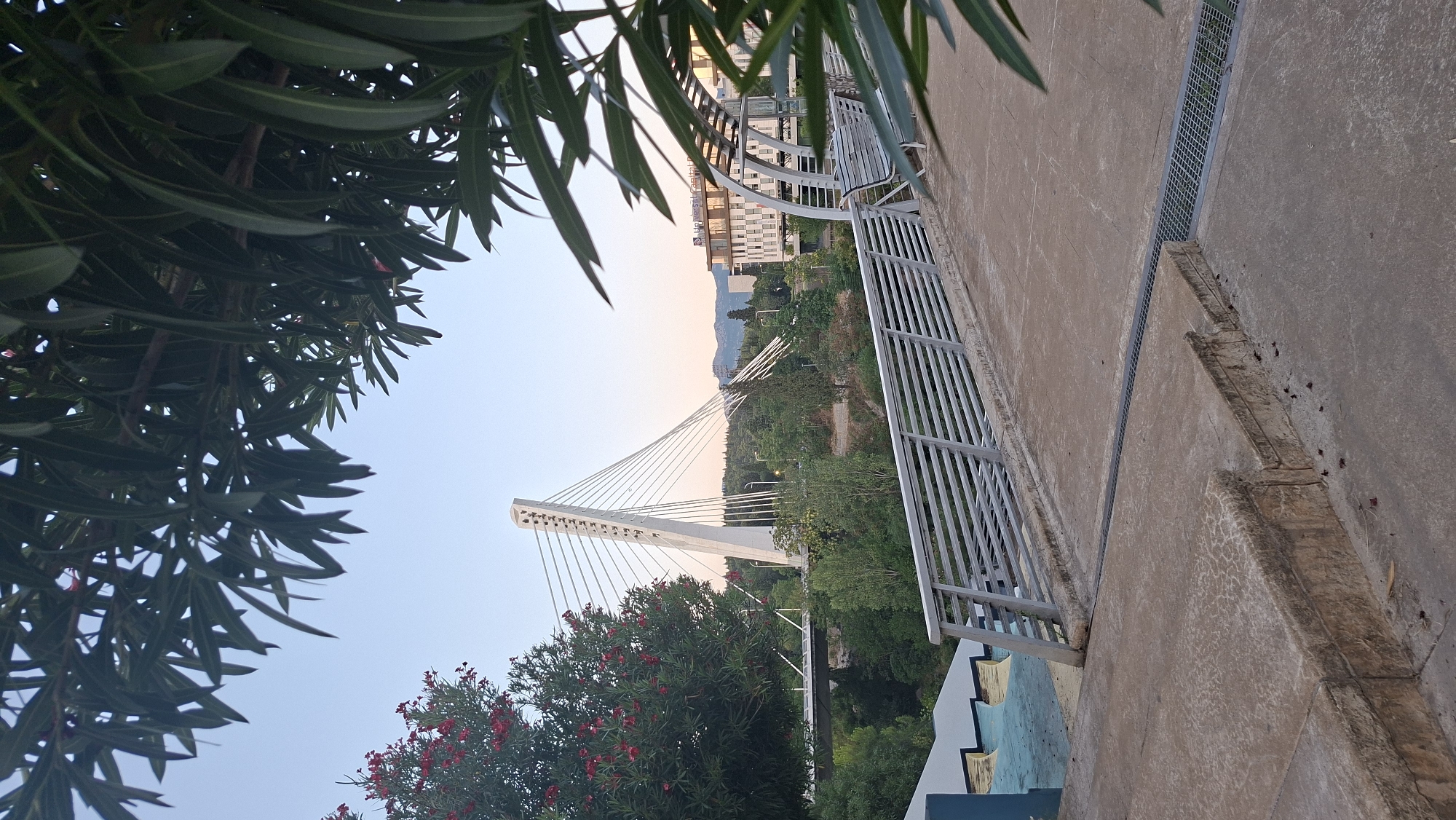 The image captures a view of the Millennium Bridge in Podgorica, Montenegro, from a pedestrian walkway. The cable-stayed bridge, a prominent landmark, features a distinctive white pylon from which numerous cables extend to support the bridge deck. The surrounding environment is lush with green trees, and a building with a modern facade is visible in the background, likely part of the cityscape. The walkway itself has a concrete surface, a metal railing, and a bench. The sky is clear and light blue, suggesting daytime. The foreground shows concrete steps and foliage from trees partially obscuring the view.