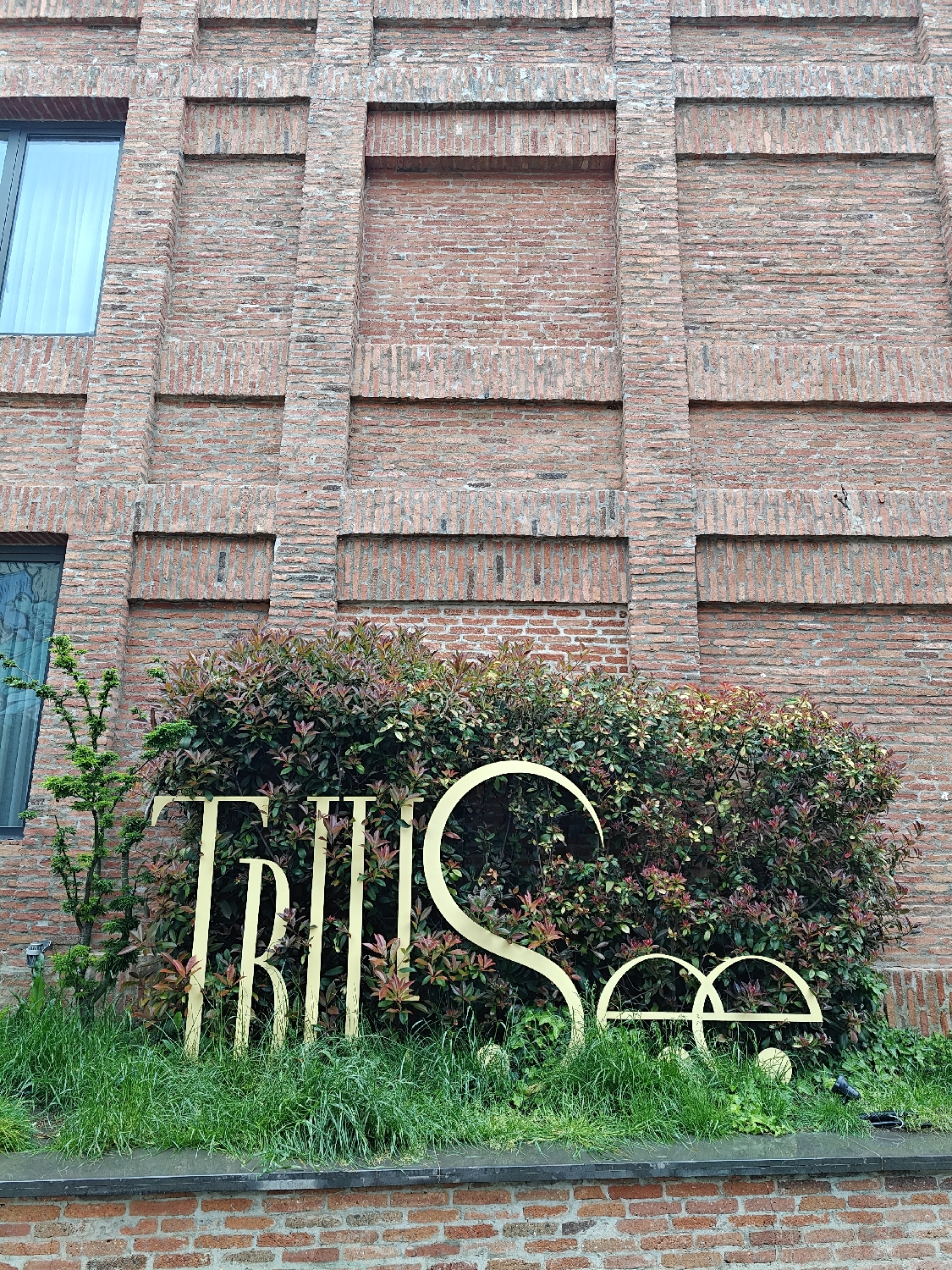 The image depicts the exterior of a building and a large, ground-level sign, set against a backdrop of brickwork and greenery. The building's facade is constructed from reddish-brown bricks, featuring a distinctive design of recessed rectangular panels arranged both vertically and horizontally, creating a textured, grid-like pattern. Two modern windows with reflective glass are visible on the left side of the building.
In the lower part of the frame, a prominent, golden-colored sign spells out "TRIBE SEE". The letters "TRIBE" are clear, while the "S" is a large, flowing curve, and the subsequent two "e"s are stylized as sets of two semi-circular shapes. The sign is nestled within a bed of vibrant green grass and dense, variegated bushes with dark green and reddish leaves, which partially obscure the lower portions of the letters and the right side of the "SEE" part. A slender, brighter green plant grows upright near the left edge of the sign.
The scene is illuminated by natural daylight, suggesting a clear or lightly overcast day, with soft shadows. No people are visible, and the setting appears to be an urban outdoor space, possibly an entrance area for a commercial establishment or residential complex. The provided context indicates the location is Tbilisi, Georgia.
