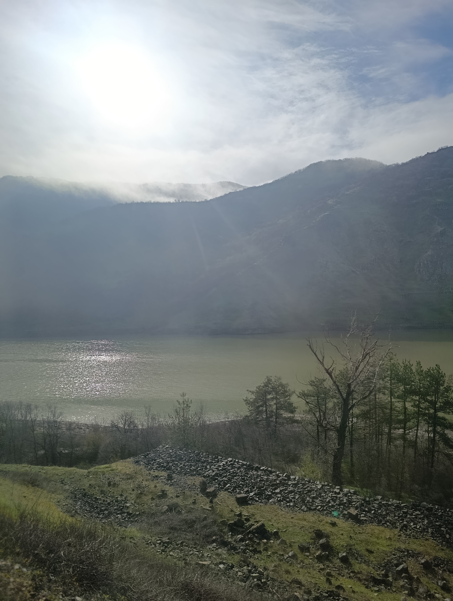 The image displays a hazy mountainous landscape with a prominent body of water, likely a river or lake, situated in the vicinity of Lisitsite, Bulgaria. The upper sky is bright, with an overexposed sun in the upper left quadrant casting visible rays through atmospheric haze and illuminating scattered white and light blue clouds. Dark, rugged mountains, partially obscured by mist, form the background, with discernible tree lines along their ridges. The body of water occupies the middle ground, exhibiting a murky, greenish-brown coloration. Strong sun glare creates sparkling reflections on the water's surface, particularly in the central and left portions. The foreground features a sloped terrain covered in sparse green grass, dry vegetation, and a significant accumulation of dark grey, angular rocks. A prominent, tall, bare deciduous tree, devoid of leaves, stands near the water's edge slightly right of center, flanked by a cluster of green pine trees to its right. Additional bare trees and shrubs are visible along the distant shoreline and lower slopes. No individuals or specific activities are depicted.