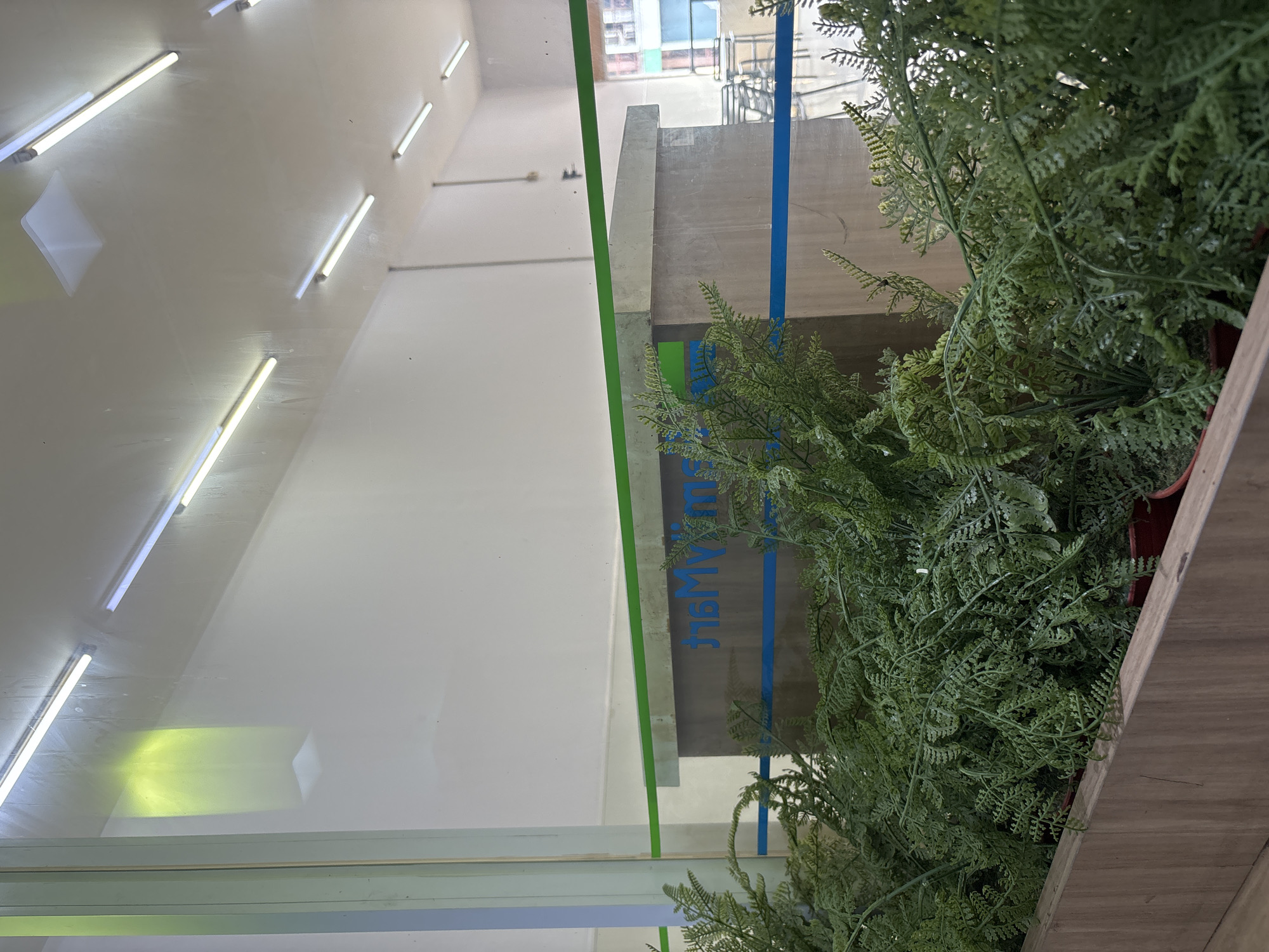 The image captures an interior space looking outwards through a large glass partition. When viewed upright (rotated 90 degrees clockwise from the original), the foreground features a section of a wooden planter filled with dense, artificial green fern-like plants, serving as indoor decor.
The glass partition reflects the brightly lit interior ceiling, which is fitted with numerous linear fluorescent light tubes. These reflections create bright streaks across the glass. A soft, yellowish glow is also reflected on a white wall, likely from an internal light source.
Beyond the glass, an exterior scene unfolds. A significant grey concrete structure, possibly part of a building or an overpass, occupies the mid-ground. Painted on this concrete surface is a distinct blue vertical line. Adjacent to this, on a darker grey section, blue text is visible; when read as a reflection, it spells "JIMMY." A bright green vertical line, possibly a painted pipe or structural element, also runs outside, parallel to the glass partition. Faint glimpses of other buildings can be seen in the background through the structural elements, suggesting an urban environment.
The presence of both natural light from outside and illuminated interior lights suggests the scene takes place during the daytime. No people or specific activities are visible, presenting a static view of a decorated transitional space between indoors and outdoors.