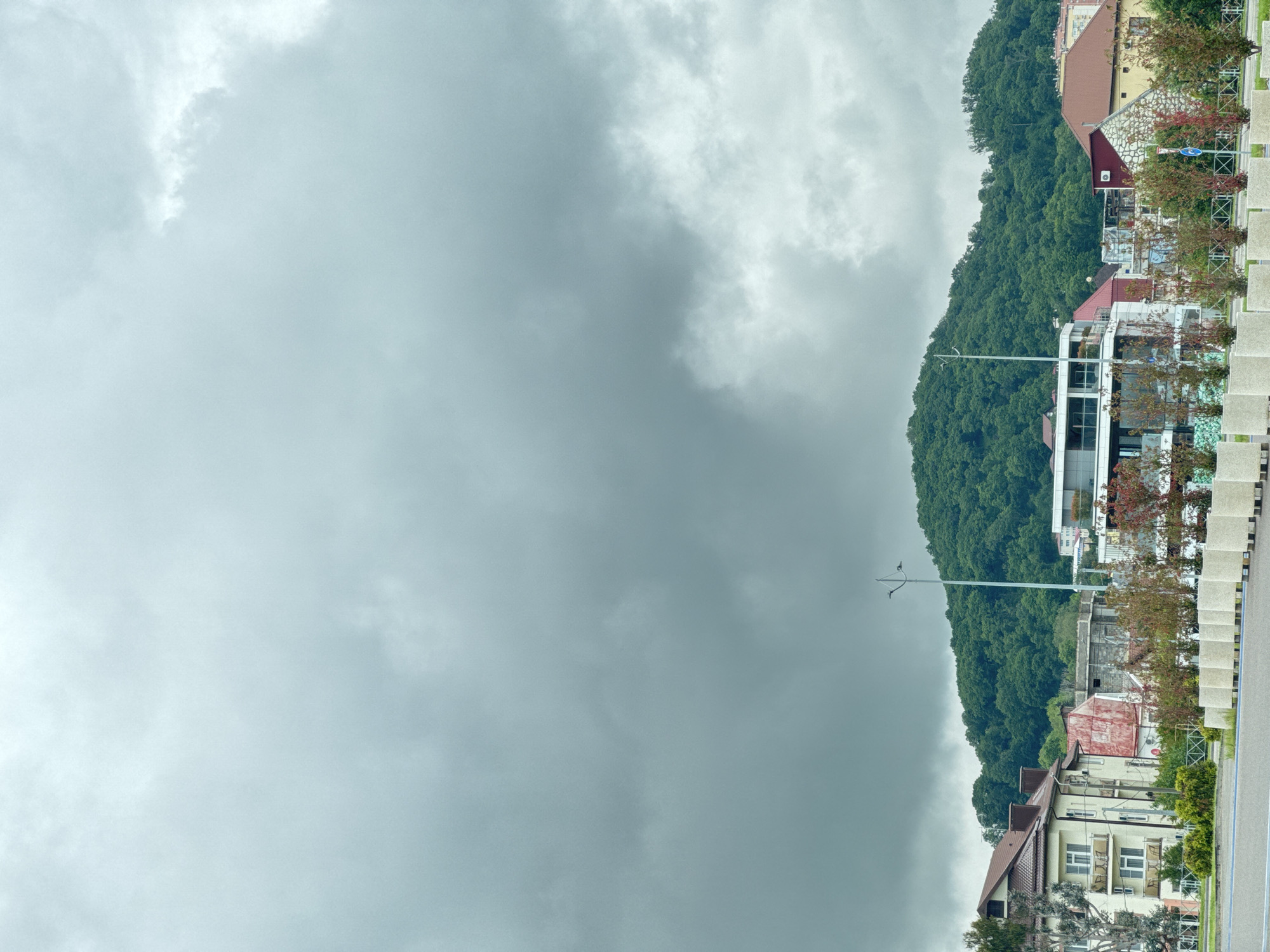 The image depicts a view of Sochi, Russia, on a cloudy day. On the right side of the frame, there are buildings along a street, including houses with red-tiled roofs and modern structures with glass windows. A densely forested hillside rises behind the buildings. The left side of the image is dominated by a heavy, overcast sky, indicating possibly inclement weather. The scene appears to be shot at street level, with a view that encompasses both the built environment and the natural landscape. There are no visible people in the scene. The street appears to be lined with trees.