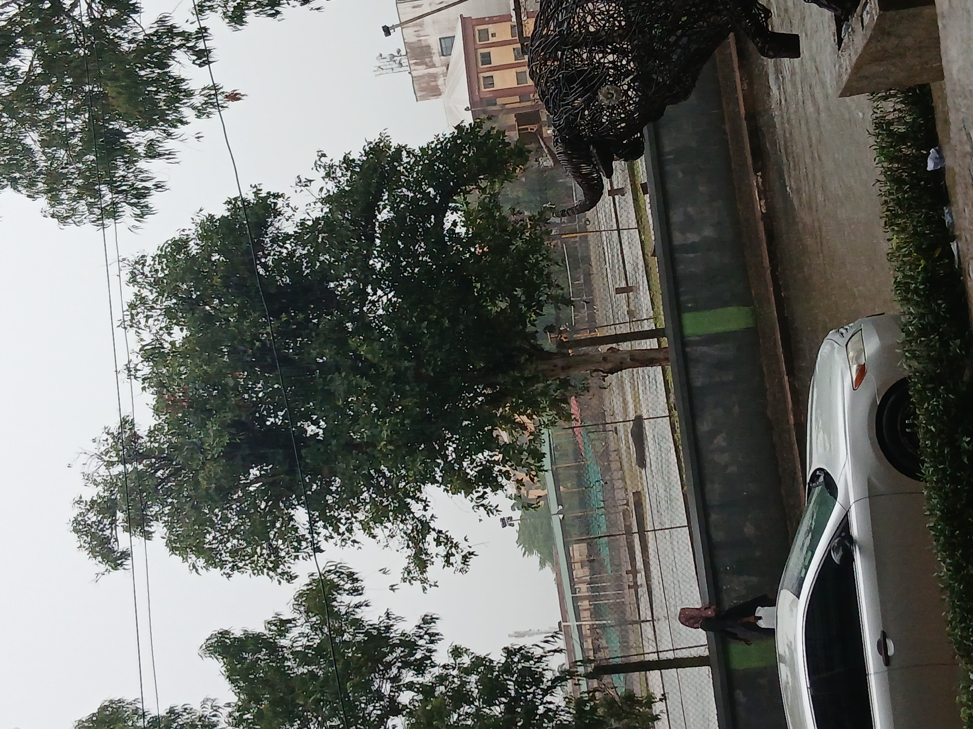 A medium shot, captured outdoors in what appears to be a parking area in Abule Ijesa, Nigeria, is heavily tilted to the right. In the foreground, a light-colored car is parked alongside a curb or short wall, partially obscured by green shrubbery on the right. A person is standing beside the car, facing towards the background, though only their upper body is visible. A black metal sculpture, possibly depicting an animal or abstract form, is positioned between the parking area and a fenced-off section in the background.
Through the chain-link fence, a field or open area can be seen, with sparse vegetation. The background is filled with buildings, including a larger structure with a visible roof. Trees are scattered throughout the scene, with branches and foliage extending into the frame from the top and left sides. Electrical or utility wires are also visible cutting across the sky. The sky appears overcast.