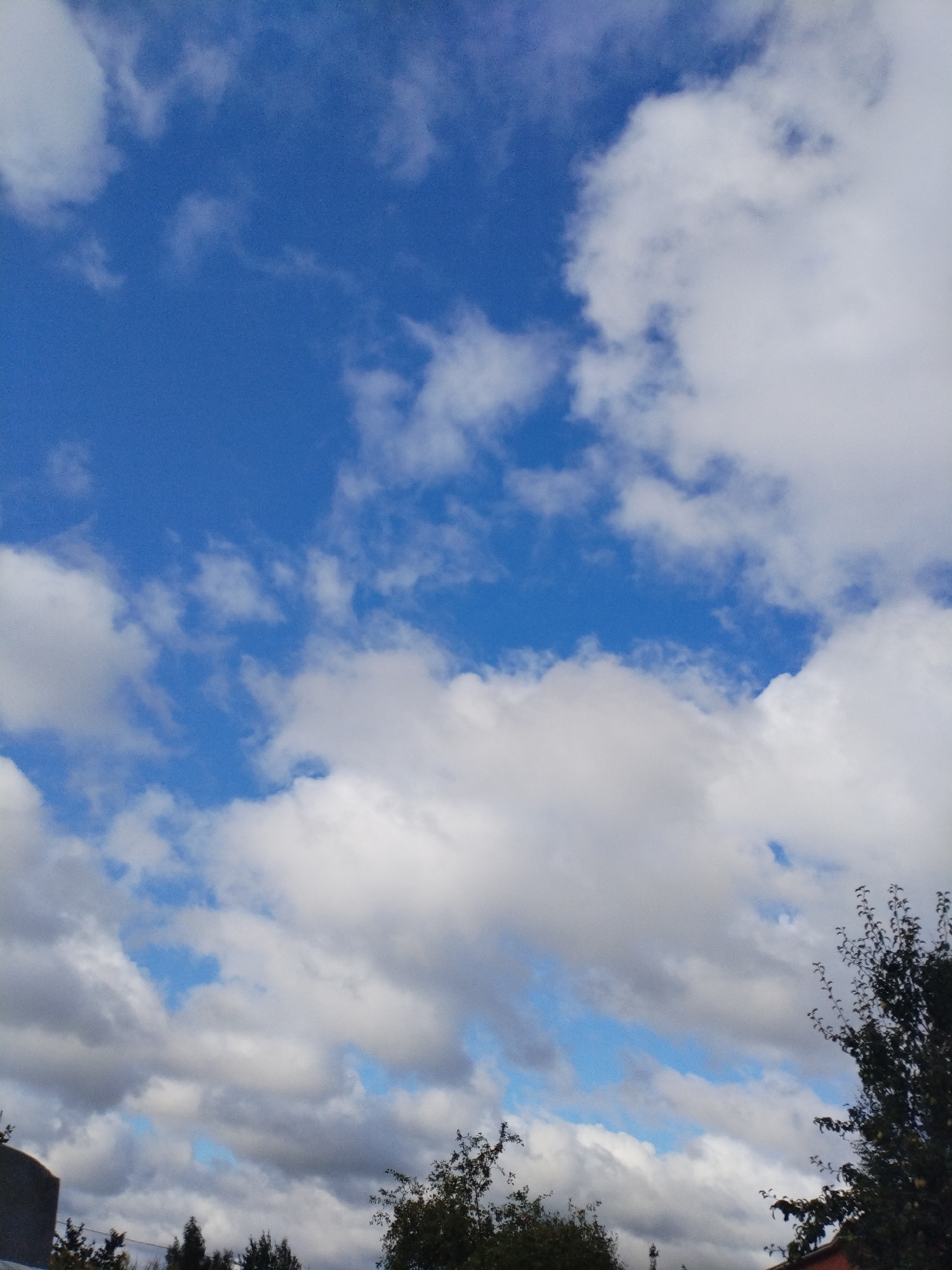 The image shows a view of the sky with clouds above the city of Bialynichy, Belarus. The sky is blue and filled with a mix of white and gray clouds. In the foreground, the tops of trees and a dark structure are visible, suggesting an outdoor setting with some vegetation and man-made elements. The scene appears to be a landscape or cityscape captured on a day with varied cloud cover.