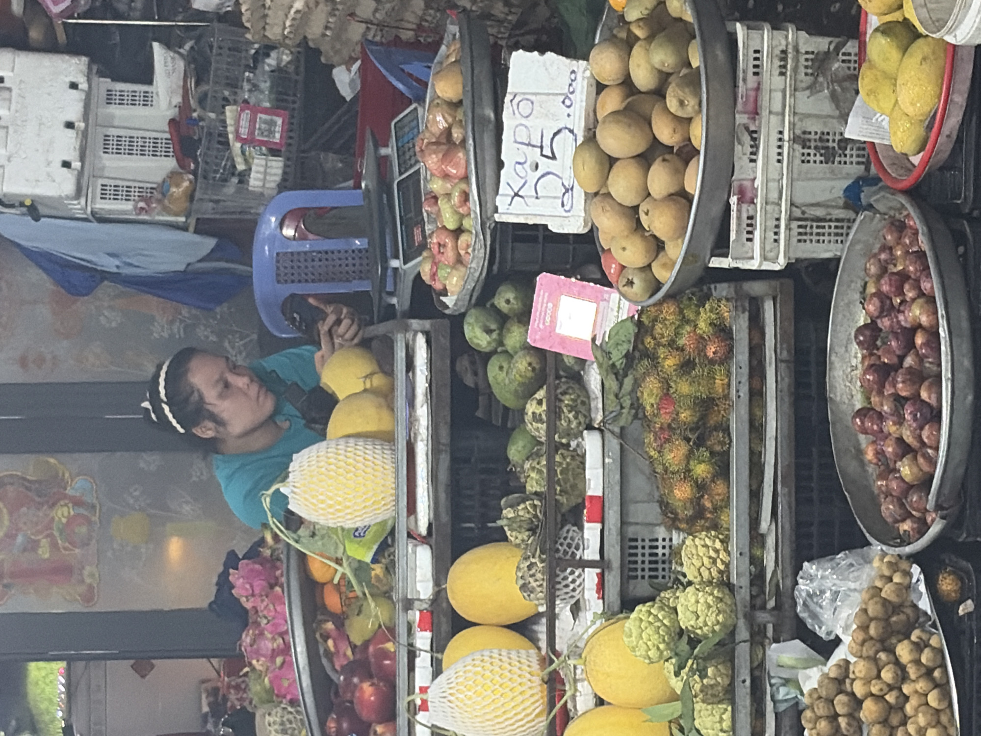 This image depicts a bustling fruit stall located in Thủ Đức, Vietnam.
A woman with dark hair tied back by a white headband, wearing a teal top, is seated behind a display of fruits, focused on a smartphone held in both hands. Her face is partially obscured.
The stall is densely packed with a wide variety of fresh fruits displayed on multiple tiers using metal trays, plastic crates, and bowls.
**Upper Tier:**
- A tray contains various red and green fruits, possibly rose apples and other stone fruits.
- Pink floral arrangements are visible near the back.
**Mid-Upper Tier:**
- Several large, yellow, oval fruits, some protected by white foam netting, are prominently displayed. These are likely cantaloupes or similar melons.
- A digital weighing scale is situated behind these fruits.
**Mid-Lower Tier:**
- On the left, more large yellow fruits, both netted and unwrapped.
- Centrally, numerous green, spiky, irregular-shaped fruits, identifiable as custard apples or sugar apples (mãng cầu ta), are arranged, some in nets.
- To the right, a large quantity of rambutan, characterized by their hairy red and green exteriors, is piled in a crate.
- Behind these, green, spherical to oval fruits, possibly guavas or soursops, are also visible.
- A small pink sign with "LOOVO" text is present on the left.
**Lower Tier:**
- On the left, a large metal bowl or tray is filled with small, round, light brown fruits, likely longans or langsat.
- In the center, a metal bowl contains numerous small, dark red/purple round fruits, possibly plums or Java plums.
- On the right, a red plastic bowl holds several bright yellow fruits, resembling mangoes or large lemons.
- A handwritten sign displays "Xapô 25.000", indicating Sapodilla priced at 25,000 Vietnamese Dong.
- Below this sign, a metal tray contains many small, brown, oval fruits, consistent with sapodillas (xa pô).
The background features a dark wall with a large, stylized red and gold pictorial decoration on the left. Various white and dark gray plastic crates serve as structural elements for the fruit display and storage. The overall environment suggests an open-air or semi-enclosed market setting characteristic of Vietnam. The woman is not interacting with customers but is absorbed in her device.