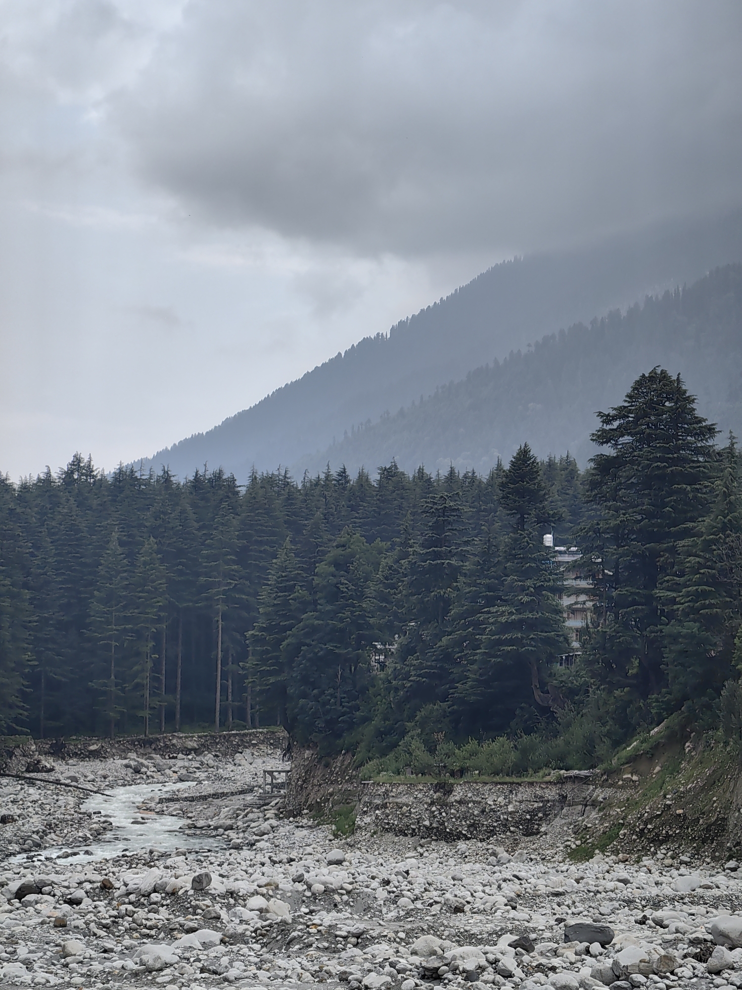 The image depicts a mountainous landscape in Vashisht, India, characterized by a rocky riverbed in the foreground and a dense forest of coniferous trees on a hillside in the mid-ground. A faint, multi-story building is visible through the trees. In the background, a mist-shrouded mountain range dominates the horizon, with its slopes covered in trees that fade into the haze. The sky is overcast and a light gray. The river flows through a bed filled with various-sized rocks and pebbles.