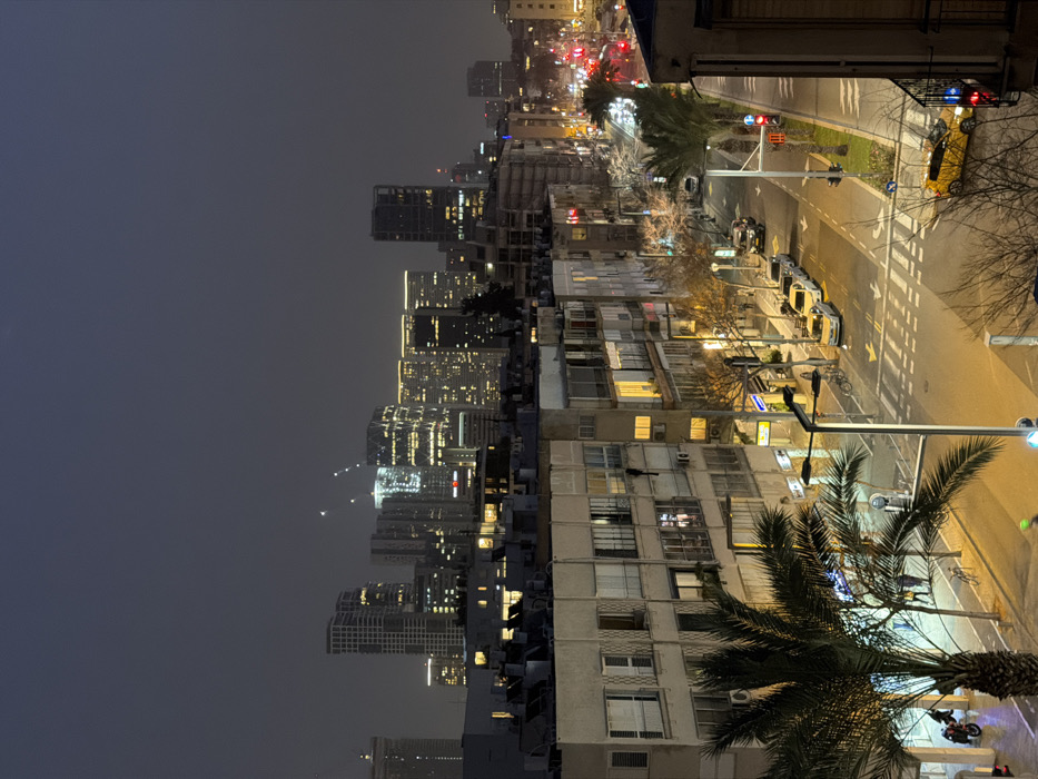 A night cityscape features illuminated skyscrapers contrasting with older buildings, many showing lighted windows. Streetlights and traffic signals line a thoroughfare with parked and moving vehicles. A palm tree dominates the foreground, partially obscuring the view. The sky is dark, hinting at late evening or early morning. The scene evokes a blend of urban modernity and older residential areas.