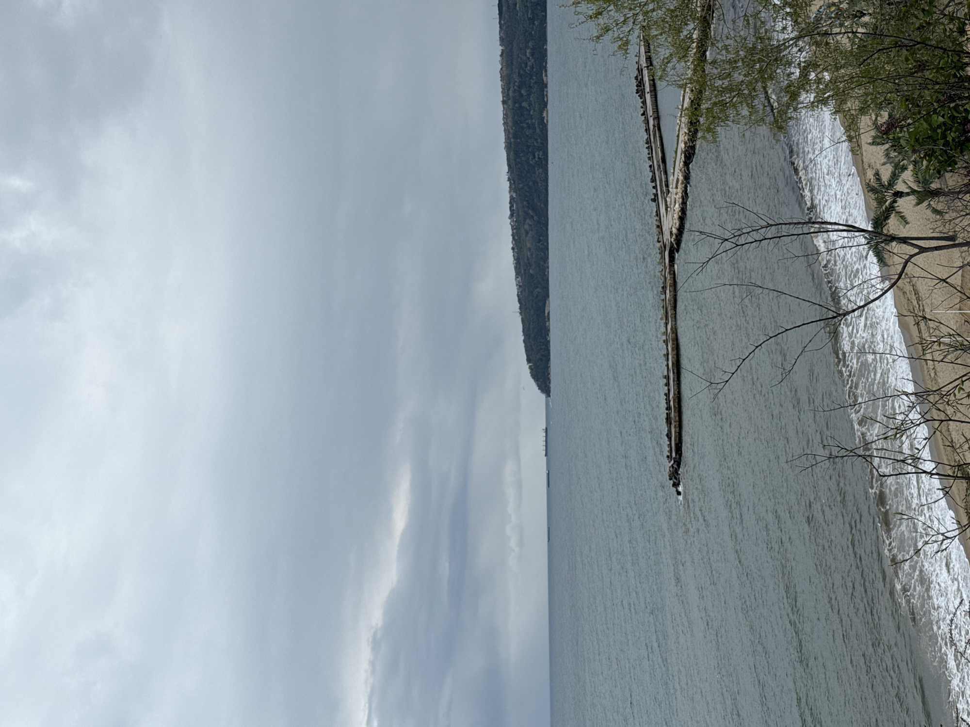 The image depicts an overcast daytime scene of a large body of water, likely a sea or a large lake, seen from an elevated perspective. The sky occupies a significant portion of the upper frame, filled with soft, muted gray clouds, suggesting an overcast or cloudy day.
A distant, low-lying coastline, covered in dense green vegetation and appearing forested, stretches along the horizon line. In the mid-ground, the water is a calm, uniform light gray-blue, with subtle ripples and small waves visible across its surface.
Towards the right side of the image, a sandy beach curves along the shore, where white-crested waves break gently. Extending into the water from the beach is a long, low breakwater or pier, appearing as a dark, rugged structure. Several dark specks, likely birds, are perched along its length. Bare tree branches and some green foliage from nearby trees partially frame the foreground on the right and bottom edges, adding a natural border to the scene.
The setting appears to be a coastal area with a beach and a natural, vegetated landscape. Given the context of Varna, Bulgaria, this is likely a view of the Black Sea. No specific activities involving people are visible, and there is no discernible text in the image.