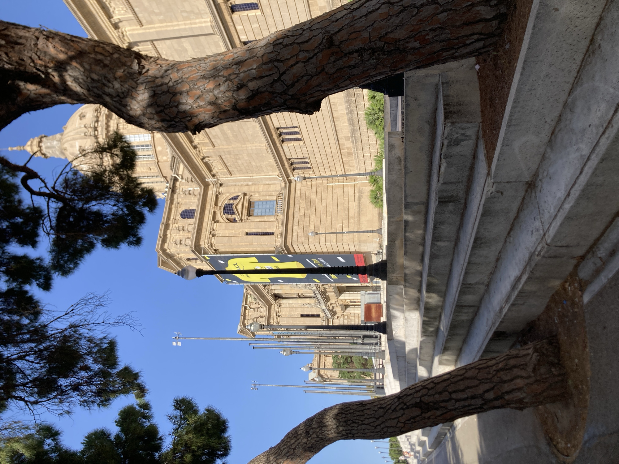 The image shows a view of the Palau Nacional in Barcelona, Spain, on a sunny day. The Palau Nacional is a large, imposing building with a grand dome, neoclassical architecture, and a beige stone facade. In the foreground, two large pine trees with textured bark frame the scene, their branches partially obscuring the sky and the building. A wide, tiered set of concrete stairs leads up towards the Palau Nacional. Several lampposts are visible along the stairs and in front of the building. A large yellow banner with black text, which appears to be a poster for an event or exhibition, hangs on the side of the Palau Nacional. The sky is clear and blue, and the lighting suggests it is midday. There are no people clearly visible in the image, only hints of movement at a distance along the lower left side of the stairs.