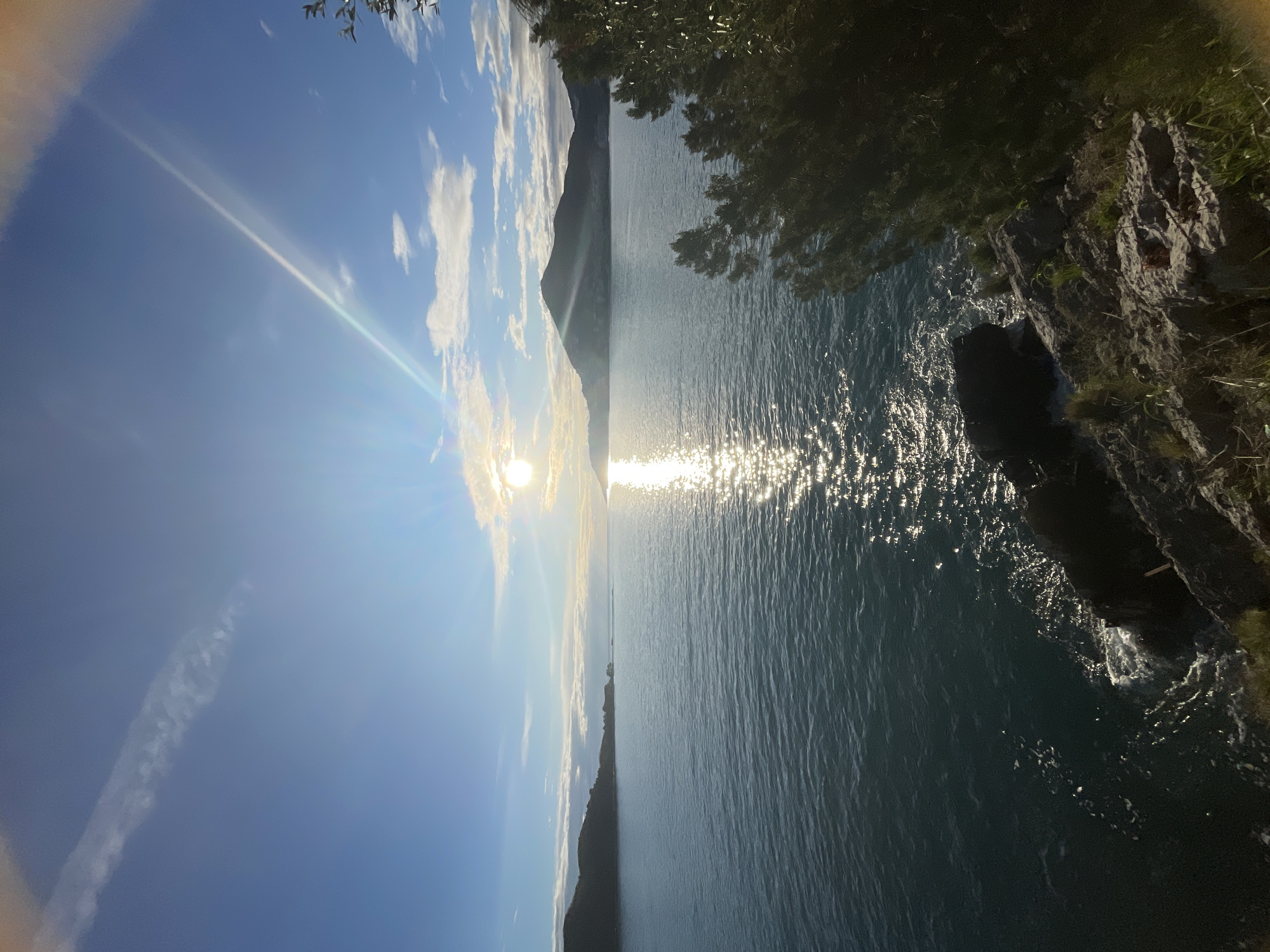 The image displays a coastal landscape in Budva, Montenegro, depicting an expansive body of water under a bright sky, likely during sunrise or sunset.
**Sky and Sunlight:** The sky is a gradient of light to medium blue, featuring scattered white cumulus clouds, particularly around the horizon line. A distinct, bright, circular sun is positioned low on the horizon over the water, slightly to the left of the image's vertical center. Intense sunlight creates a wide, shimmering path of reflection across the water, extending from the horizon towards the foreground. Several prominent sunbeams radiate from the sun, and a faint, thin contrail is visible in the upper left quadrant of the sky.
**Water:** The foreground and midground feature calm, dark blue-green sea water with subtle ripples. Where the water meets the rocky coastline in the immediate foreground, white foam from breaking waves is visible.
**Landforms and Vegetation:**
* **Foreground:** The lower right portion of the image reveals rugged, grey-brown rocky cliffs and outcroppings. Sparse green grasses and small shrubs cling to the rocks. A few larger, dark rocks are partially submerged or at the waterline. Pine-like foliage with pointed needles extends from the right edge of the frame, partially obscuring the view.
* **Background (Left):** A dark, undulating landmass, appearing as an island or peninsula, extends into the bay from the far left horizon.
* **Background (Right):** A large mountain range rises from the sea in the distant right, its contours silhouetted against the bright sky. Distant structures, possibly buildings, are discernible on the lower slopes of these mountains.
**People and Actions:** No human figures or explicit human activities are present or discernible within the scene. The environment appears undisturbed.