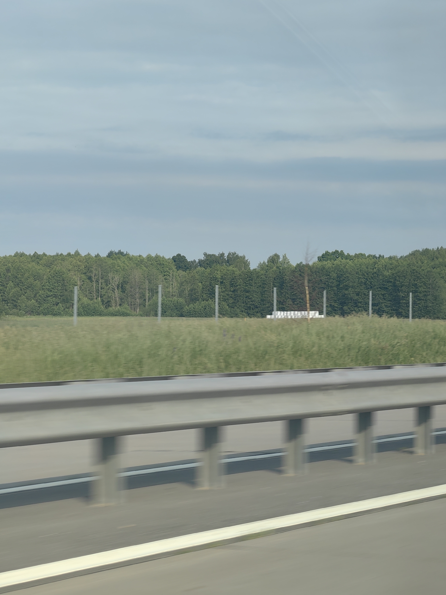 The image depicts a roadside scene with a lush green forest bordering a grassy field. In the distance, several white cylindrical objects are stacked, with a tall, bare tree situated behind them. The sky is overcast with light blue clouds. A metal guardrail is visible in the foreground, indicating a road, likely a highway, with a white line marking its edge. The general impression is a rural or semi-rural landscape viewed from a moving vehicle.
