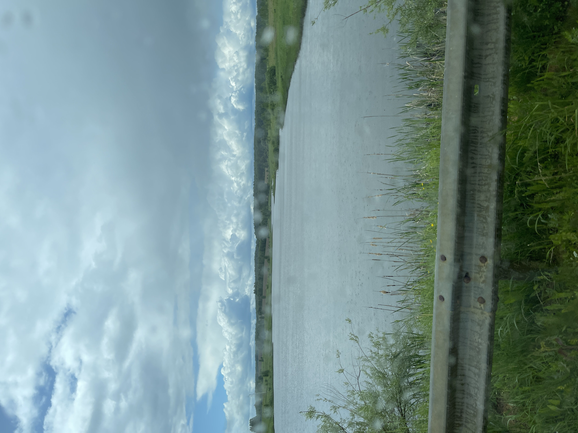 The image shows a view of a body of water from behind a guardrail. The sky is overcast with cumulus clouds. The body of water is flanked by vegetation on both sides, with cattails visible along the near shore. It appears to be raining. The guardrail is gray and shows signs of rust. The location is unknown and not possible to infer from the image.