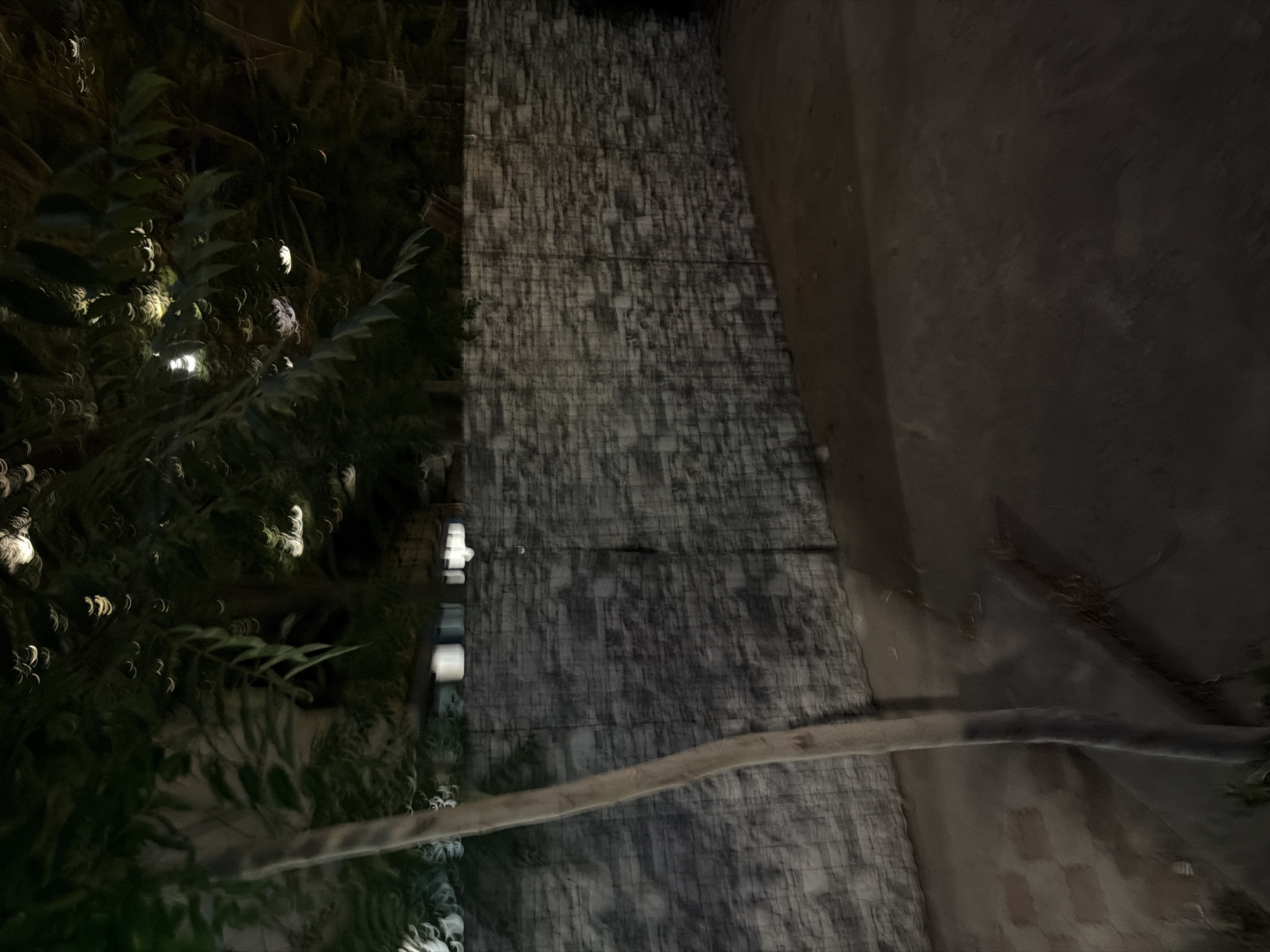 The image depicts a nighttime scene in Shymkent, Kazakhstan, featuring a textured stone wall and lush, dark foliage illuminated by soft, blurred lights. The wall, which occupies the majority of the frame, has a rough, uneven surface with distinct horizontal lines suggesting layers or construction. To the left, dense green leaves are visible, punctuated by out-of-focus circular lights, possibly from Christmas decorations or fairy lights. These lights create a bokeh effect, adding a magical quality to the foliage.
Several small, illuminated rectangular shapes are embedded within the wall, suggesting recessed lights or windows. A thin, curved beam, possibly a railing or a branch, stretches horizontally across the lower portion of the image, bridging the gap between the foliage and the wall. The overall lighting suggests it is nighttime, with artificial light sources creating a dramatic and somewhat mysterious atmosphere. The rough texture of the wall and the dense vegetation might indicate an outdoor setting, perhaps a garden, courtyard, or the side of a building with overgrown plants. No people or specific activities are apparent, leaving the scene open to interpretation. The muted color palette and the soft focus contribute to a serene yet intriguing mood.