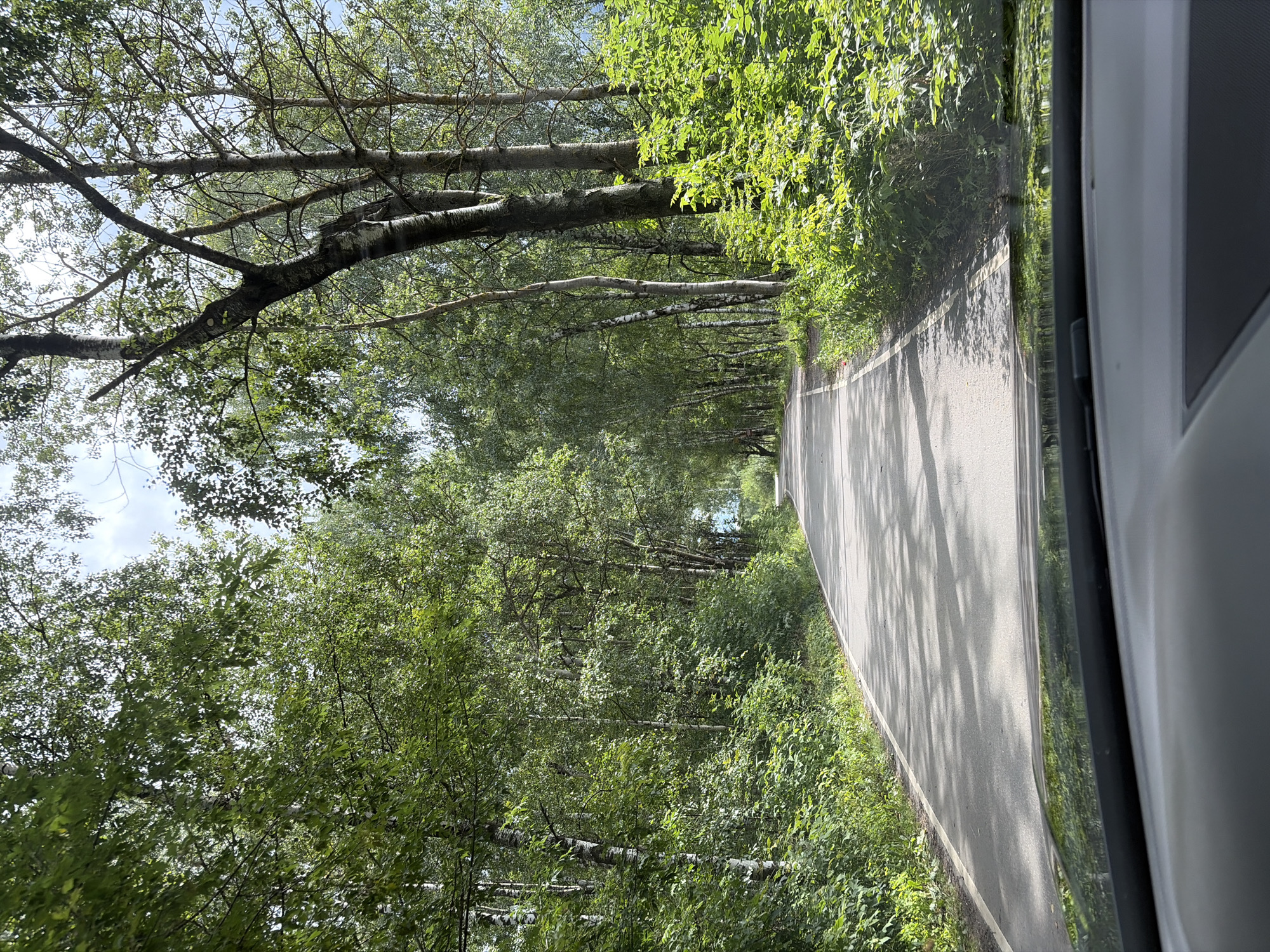 The image captures a view from a vehicle driving on a paved road that curves to the right, bordered by lush green trees on both sides. The road is asphalt with a white line marking the edge. Sunlight filters through the dense canopy of leaves, casting dappled shadows on the road's surface. The trees, predominantly deciduous with some appearing to be birches due to their white bark, create a tunnel-like effect, narrowing the visible sky to patches of blue and white clouds. The foreground shows the dashboard and windshield wiper of a car, indicating the perspective is from the driver's seat. The overall scene suggests a drive through a wooded or park-like area. This location is in the city of Imeni Vorovskogo, Russia.