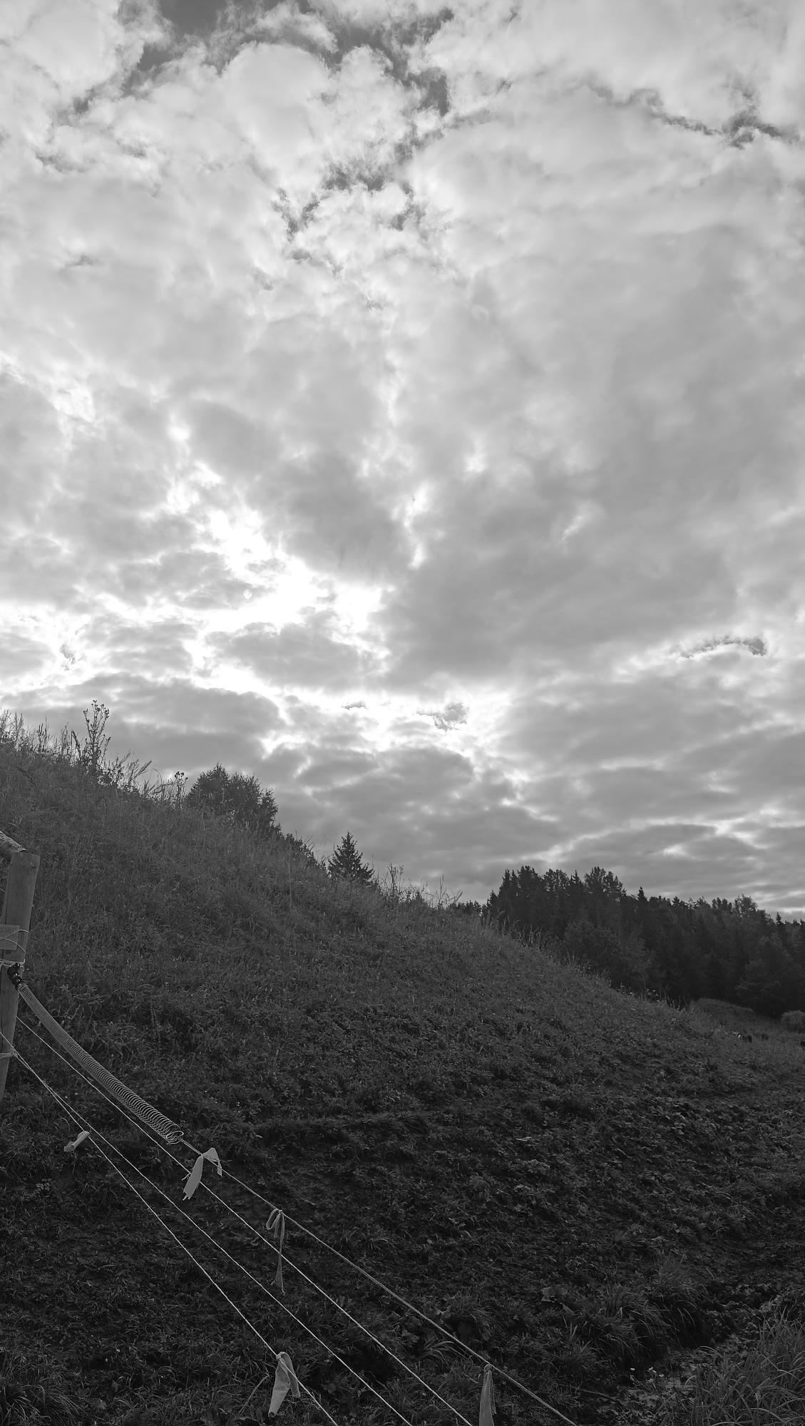 A black and white, medium-wide shot depicts a rural landscape on a cloudy day. The foreground is dominated by a grassy incline covered in low vegetation and dark soil. Several thin wires, possibly part of a fence, run diagonally across the lower left quadrant, secured to a wooden post and marked with pieces of white cloth. The incline slopes upwards, transitioning into a line of trees in the middle ground. Beyond the trees, the sky is filled with heavy, textured clouds, with patches of brighter light suggesting the sun is obscured. The location is identified as Karsha, Russia.