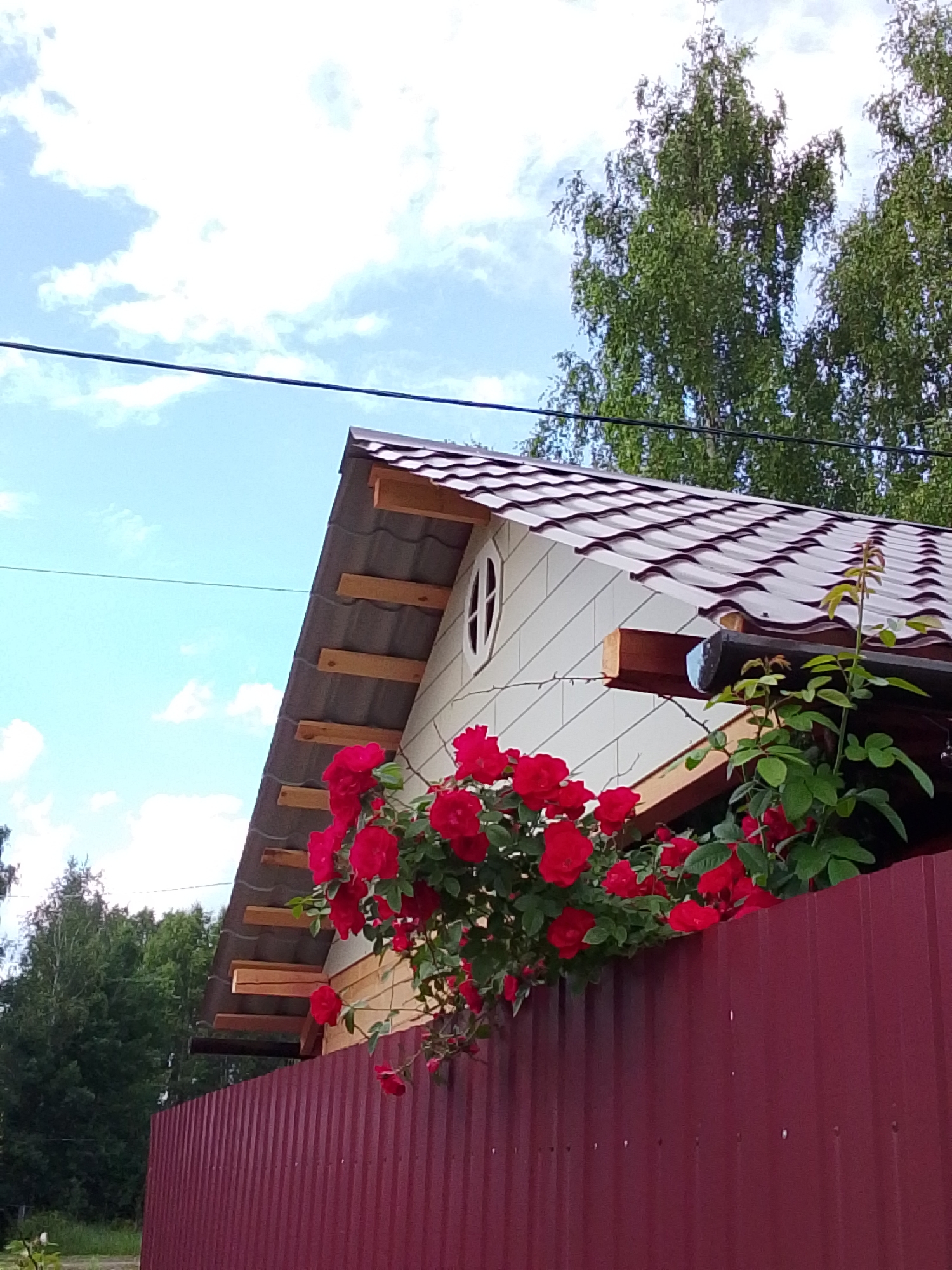 This is a medium shot, taken from a low angle, of a residential building's roof and a red metal fence in front of it, with a bush of bright red roses cascading over the fence. The building has a light-colored, wood-paneled exterior and a dark, wavy-tiled roof. An oval window with white panes is visible on the gable end of the house. Wooden beams are exposed under the eaves of the roof, and a dark gutter extends from the right side of the house. The red roses are in full bloom, with lush green foliage. In the background, tall green trees with dense leaves reach towards a bright blue sky with scattered white clouds. A dark electrical wire stretches horizontally across the upper portion of the frame. The scene suggests a sunny day, likely in the summer, given the blooming roses and lush greenery. The location is identified as Снопок Новый, Russia. There is no text visible in the image.