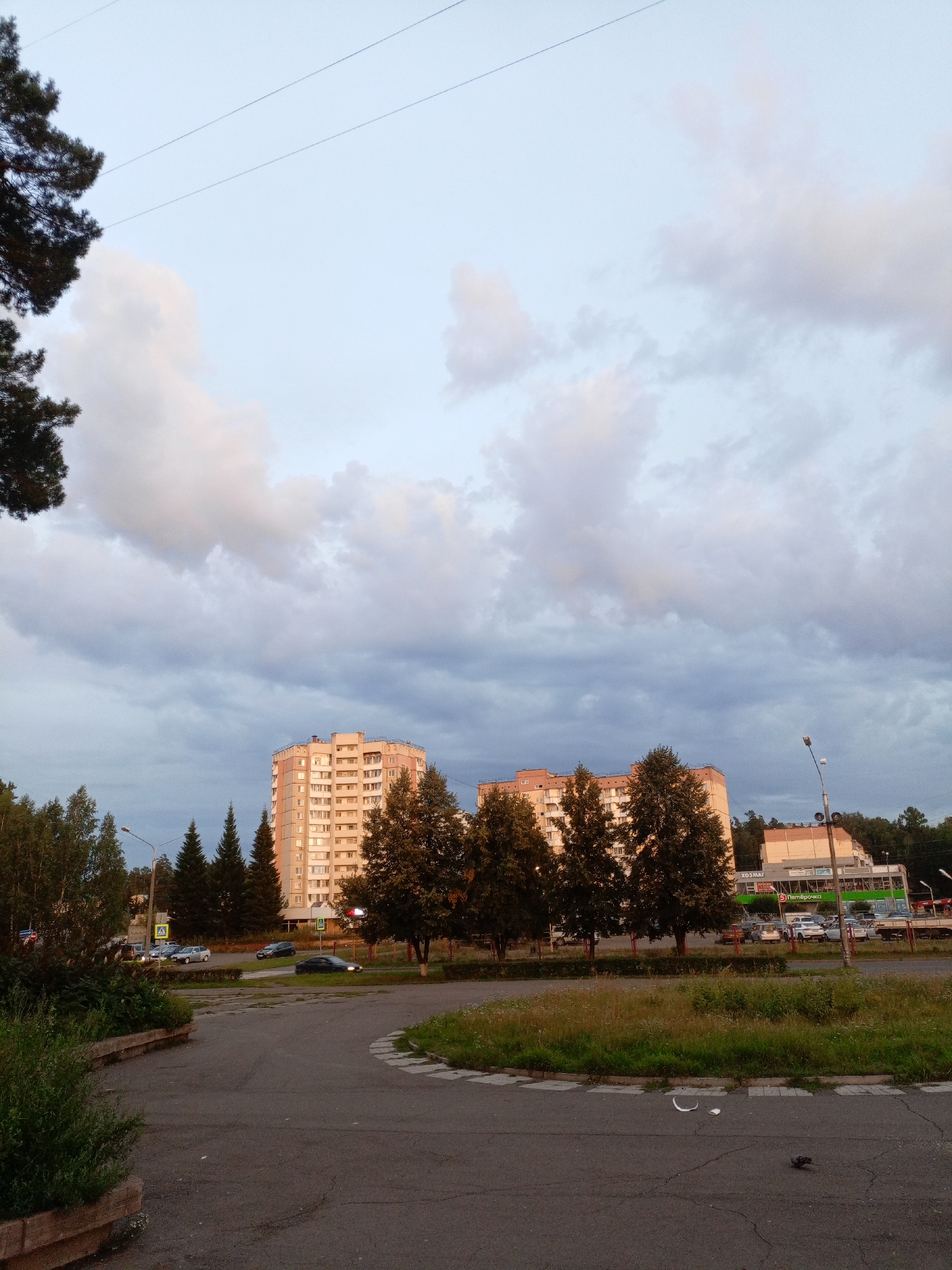 The image depicts a street scene in Zheleznogorsk, Russia, likely during the evening. In the background, two multi-story apartment buildings are visible. One building, a light-colored, octagonal structure, is centrally located in the mid-ground. To its right, another similar building is partially obscured by trees. The sky is overcast with scattered clouds, some of which are tinged with pink, suggesting the sun is low on the horizon.
In the foreground, a paved road curves through the scene. Several cars are parked or driving on the road, including a dark sedan moving away from the camera and a few lighter-colored vehicles further in the distance. A street lamp stands on the right side of the road. Green trees and bushes are scattered throughout the scene, with taller coniferous trees forming a line between the buildings and the road. A grassy area with some wildflowers is present near the road's edge. Debris, including a piece of white paper and a small dark object, is scattered on the pavement in the lower foreground. The overall impression is a suburban or residential area in a Russian city.