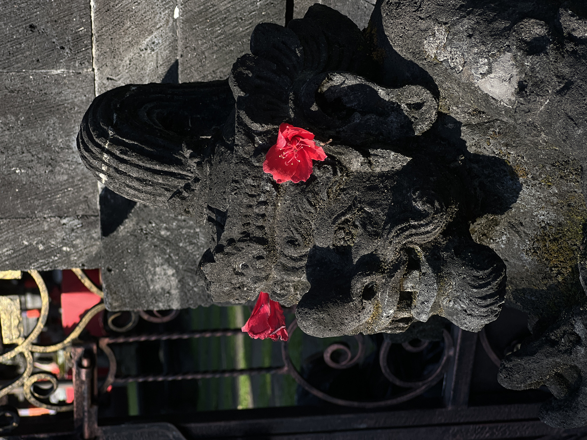 A close-up vertical shot features two vibrant red hibiscus flowers placed on an intricately carved dark stone structure. The primary flower is centrally located, resting on a textured part of the carving, possibly depicting a stylized head or decorative motif, with its bright red petals and yellow stamens contrasting sharply against the dark, coarse stone. A second red hibiscus flower is visible further down and to the right, nestled within another section of the carving.
The stone itself is dark grey or black, likely volcanic rock, characterized by detailed patterns that suggest traditional architectural or sculptural elements, possibly depicting mythological figures or elaborate ornamentation. Strong, direct sunlight casts deep shadows on the stone, indicating a clear, sunny day.
To the left of the main carving, textured stone slabs are visible, possibly part of a wall or pavement. At the bottom of the frame, a section of an ornate dark metal gate or railing with subtle golden accents is partially visible, offering a glimpse into a blurred background that includes hints of red and green. The arrangement of flowers on the carving suggests a traditional offering or decoration, consistent with cultural practices in Kuta, Indonesia. There is no visible text in the image.