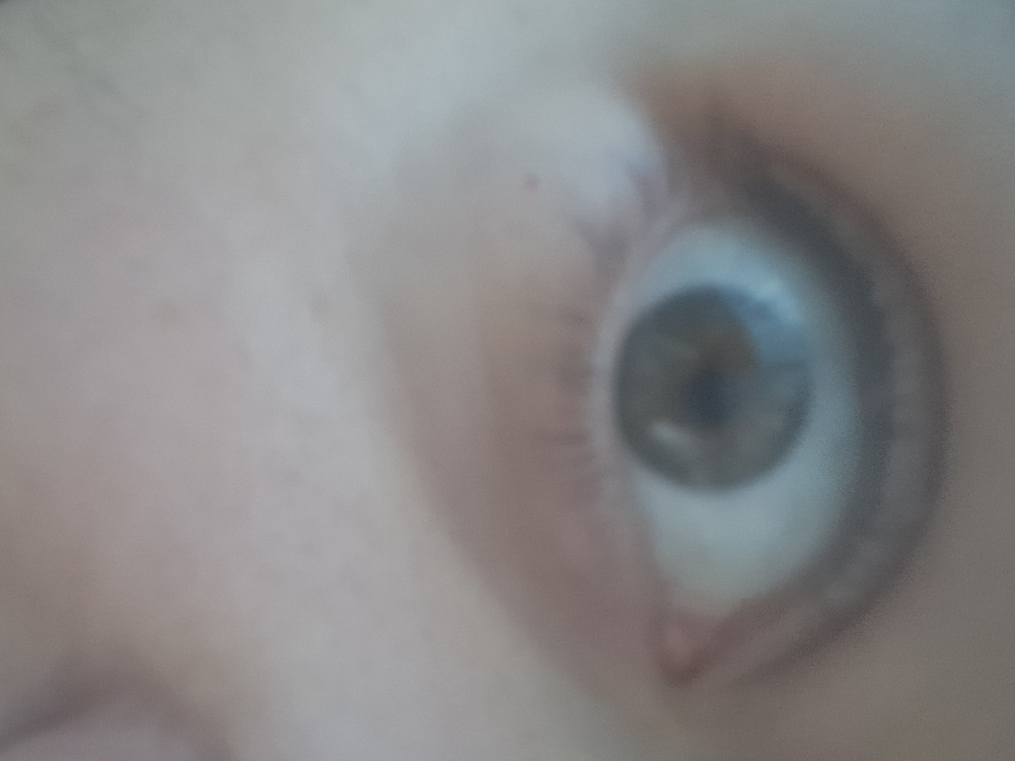 The image is a close-up, blurred photograph of a human eye. The pupil is dilated, and the iris appears to be a light brown or hazel color. The sclera is visible, with some subtle red veins. The surrounding skin is fair and appears to have some texture, possibly pores or fine lines. The lighting in the image is diffuse, casting soft shadows. The background is out of focus and appears to be a neutral, light color. The image is not taken in any specific location in a city, as it is a close-up of an eye.