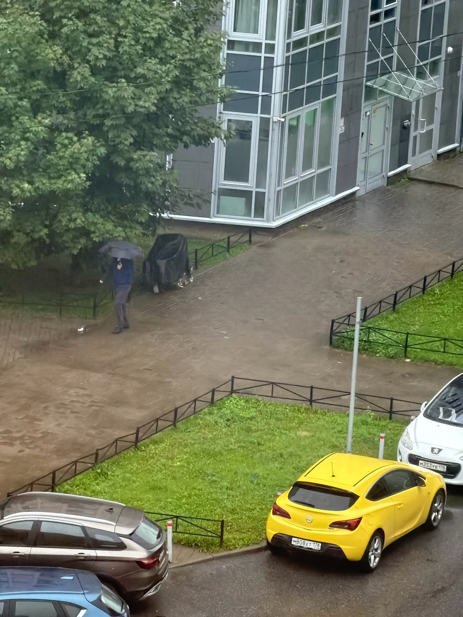 A person holding a black umbrella walks on a wet paved pathway next to a large green tree. The pathway leads to a modern building with glass windows and an entrance canopy. A black trash bin covered with a tarp is visible near the tree. In the foreground, there are two cars parked on the street, a yellow Opel Astra and a white Peugeot 208. The street and surrounding grass are wet, indicating recent rain. The scene appears to be in an urban residential area, possibly in Saint Petersburg, Russia, given the license plate formats.