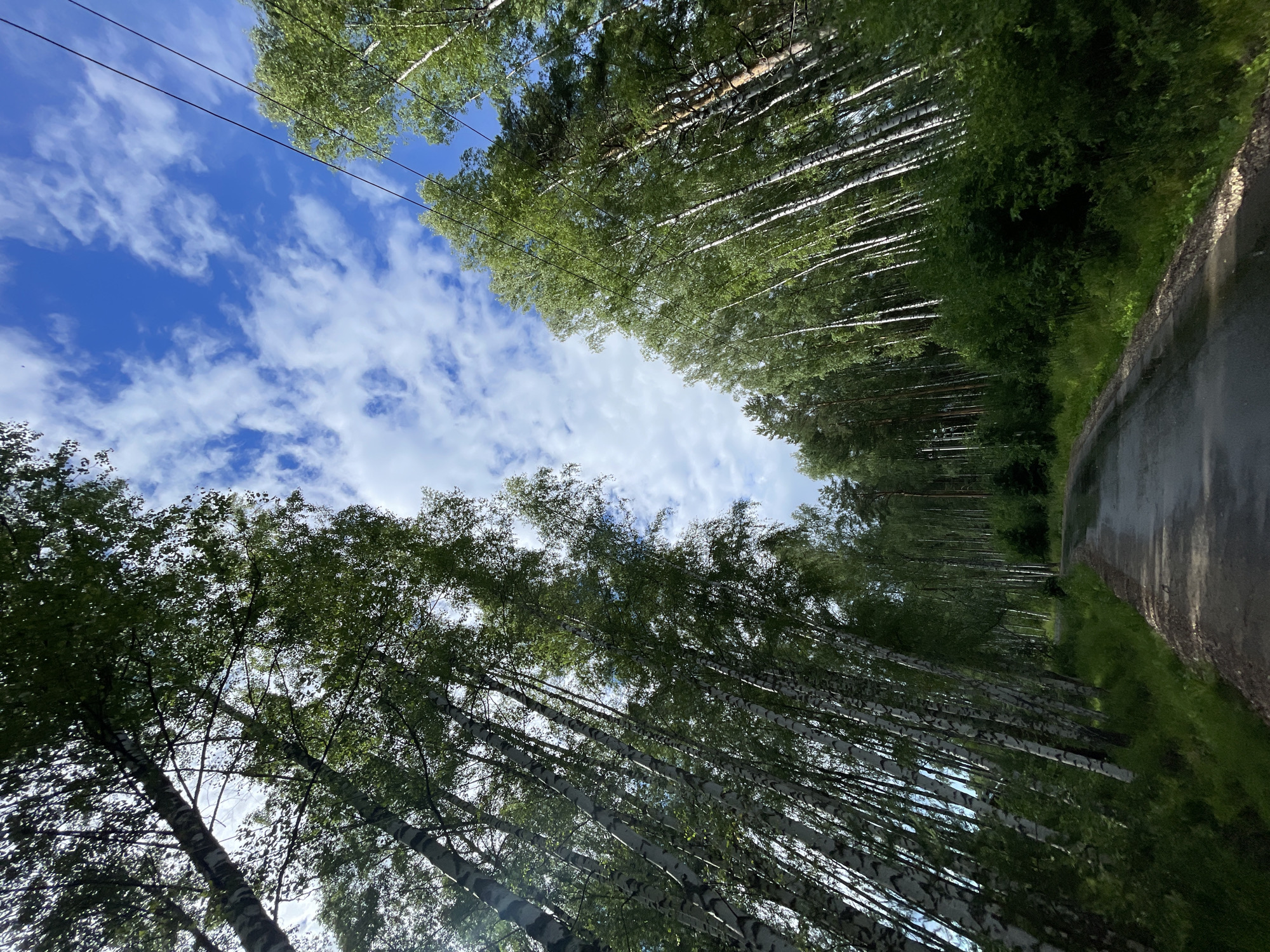 The image shows a rural road passing through a dense forest. The road is asphalt and appears to be wet, suggesting recent rain. On both sides of the road, tall birch and pine trees with green foliage line the path, creating a tunnel-like effect. The sky is a bright blue with scattered white clouds. There are no people or animals visible in the image. The environment appears natural and undeveloped. The location is identified as Заречный, Russia.