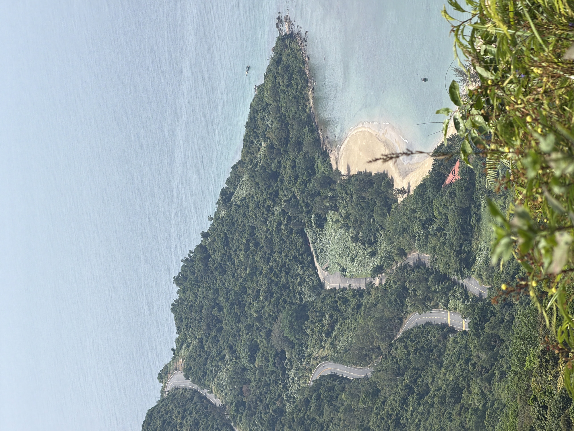 The image depicts a coastal landscape in Đà Nẵng, Vietnam, showcasing a winding road along a tree-covered peninsula. The road, marked with yellow lines, snakes through the lush green foliage, contrasting with the blue ocean on one side. A small beach is visible on the opposite side of the peninsula. Vegetation in the foreground obscures the lower right corner of the frame. A few boats are seen on the water.