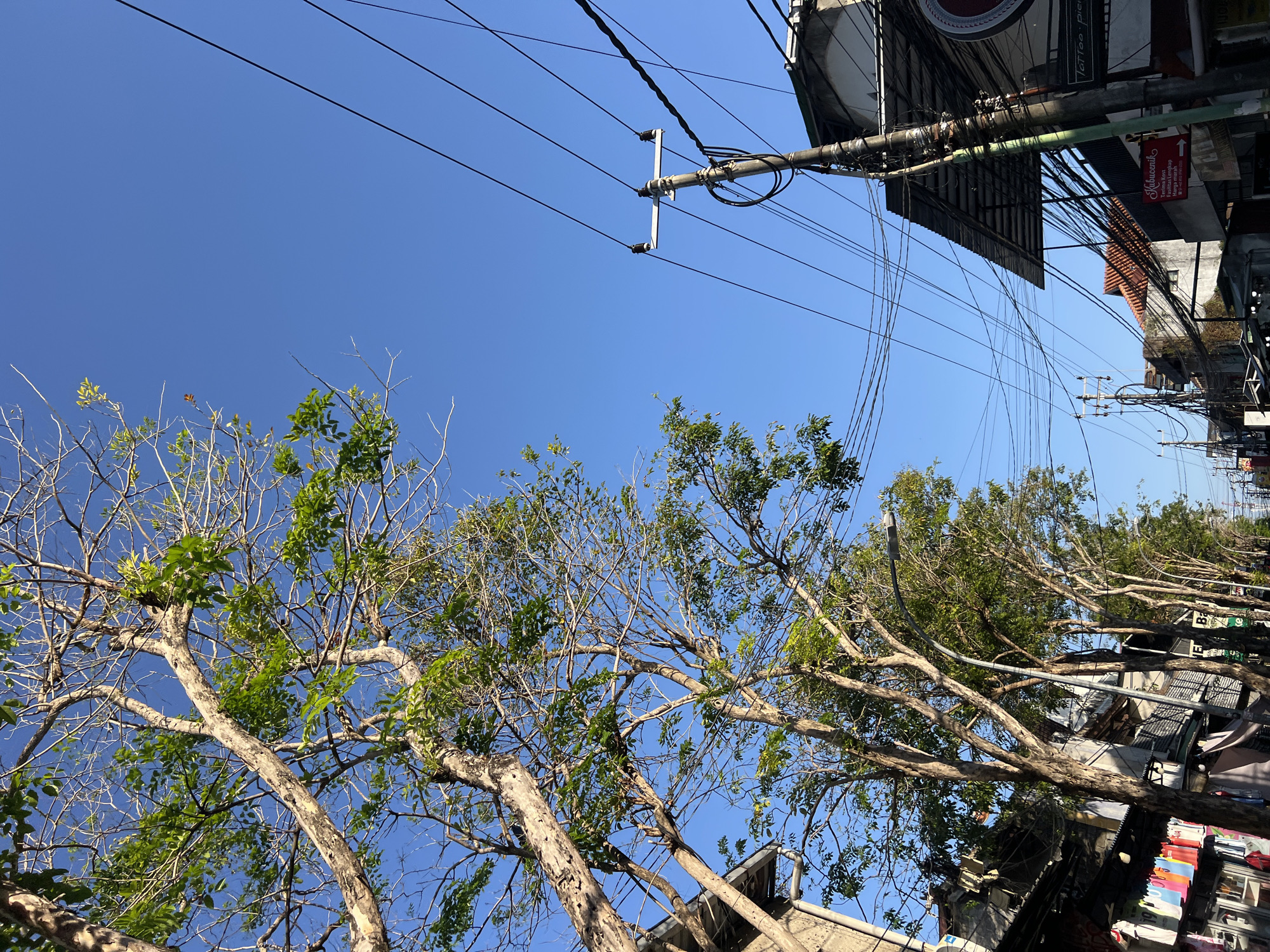 A low-angle shot captures a street scene in Kuta, Indonesia, dominated by a bright blue sky and a line of trees on the left. The trees, some with sparse foliage and exposed branches, frame the view of the sky. In the background, buildings with corrugated metal roofs line the street, interspersed with a prominent utility pole and a dense network of overhead electrical wires. The pole is adorned with ceramic insulators and coiled wires. Signs are visible on some of the buildings, one of which reads "Kubicenik" and appears to advertise a shop or service. A light pole with a lamp is also present. The street level appears to be a commercial area, with glimpses of shop displays and merchandise. The overall atmosphere is that of a sunny day in a bustling urban environment.