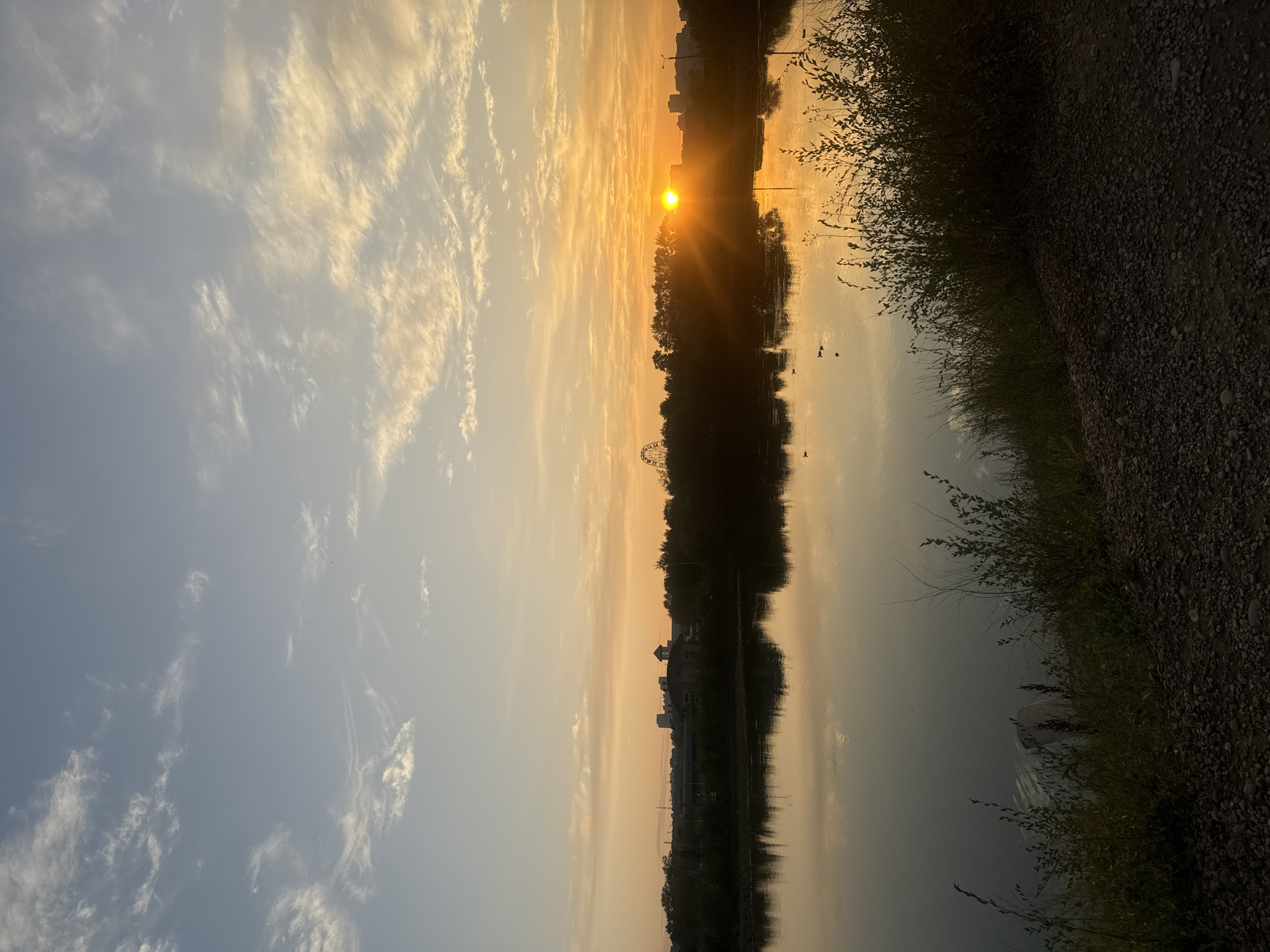 The image captures a serene sunset over a body of water, likely a river or lake, in Irkutsk, Russia. The sky is painted with hues of orange, yellow, and soft blue, with wispy clouds catching the last rays of the sun. The sun, a brilliant orb, is setting behind a silhouetted treeline and the distant city skyline, which features several buildings and a Ferris wheel. The water reflects the vibrant sky and the dark silhouettes of the trees and buildings, creating a symmetrical mirror image. In the foreground, lush green bushes and tall grass grow along the rocky shore, adding texture and depth to the scene. A few small birds or ducks are visible as dark specks on the water's surface. The overall atmosphere is tranquil and peaceful, suggesting a quiet evening in a picturesque natural setting within the city.
