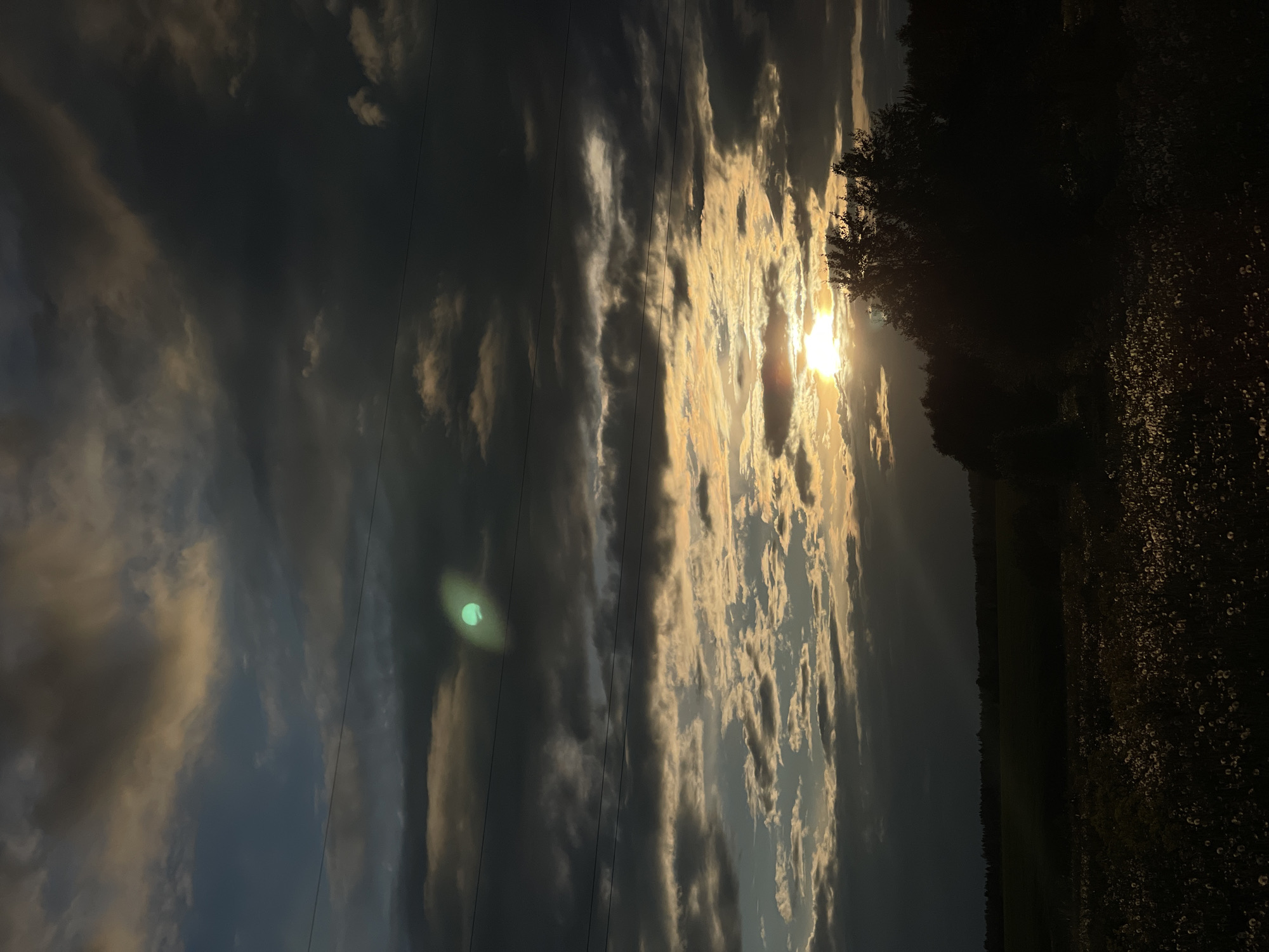 The image captures a dramatic golden hour sky, likely at sunset or sunrise, over a natural landscape. The sun, partially obscured by clouds, is the focal point on the right side of the frame, casting intense golden and orange light that illuminates the edges of the surrounding clouds and produces visible sun rays.
The sky occupies the majority of the upper two-thirds of the image, filled with long, streaky cloud formations. Those closer to the sun are brightly lit with warm hues, while clouds further to the left appear darker, in shades of grey and blue. Several thin, dark power lines stretch diagonally across the upper-middle portion of the sky. A prominent green lens flare is visible in the upper-left quadrant.
Below the dynamic sky, a dark, silhouetted line of trees forms the horizon, extending from the left to the right side of the image. To the lower right, a dark field or grassy area is visible, dotted with numerous small, light-colored specks, possibly dandelions or wildflowers, catching the last remnants of light.
The scene conveys a sense of natural beauty and tranquility. There are no people or discernible text visible in the image. The setting appears to be rural or natural, characterized by open skies, trees, and fields.