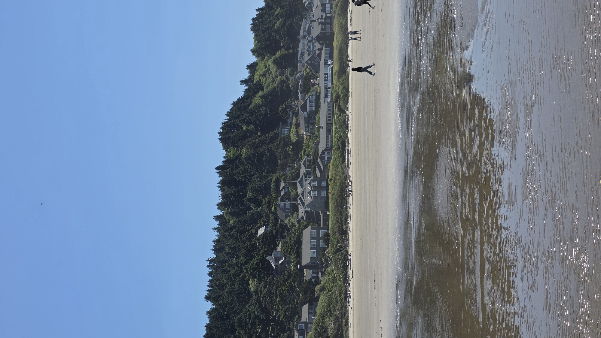 An aerial view shows a wide, sandy beach with calm water reflecting the sky and trees. A line of houses is nestled into a densely forested hillside that rises behind the beach. The sky is a clear, bright blue. A single bird is visible flying in the distance. Several people are scattered across the beach, some walking and others appearing to be gathered in small groups. There are also several pieces of driftwood on the sand. The overall scene is peaceful and suggests a sunny day at the coast. The location is Cannon Beach, Oregon, United States of America.