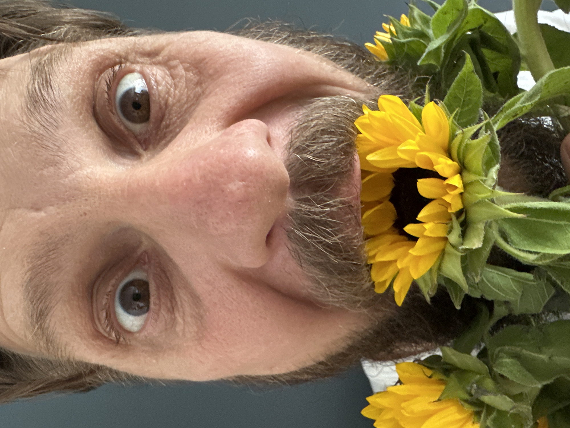 A close-up, sideways portrait shows the face of a man against a plain dark blue/grey background. The man has brown hair, eyebrows, and a salt-and-pepper beard. He has a light skin tone and is looking directly at the viewer with wide, brown eyes, conveying a playful or slightly startled expression. A cluster of vibrant yellow sunflowers with green leaves and stems is held against his face. One prominent sunflower is positioned comically inside his open mouth, as if he is "eating" or playfully holding it. Additional sunflowers are visible to the right and below this central bloom. The overall impression is humorous and whimsical. The image contains no visible text. This scene is from Fethiye, Turkey.