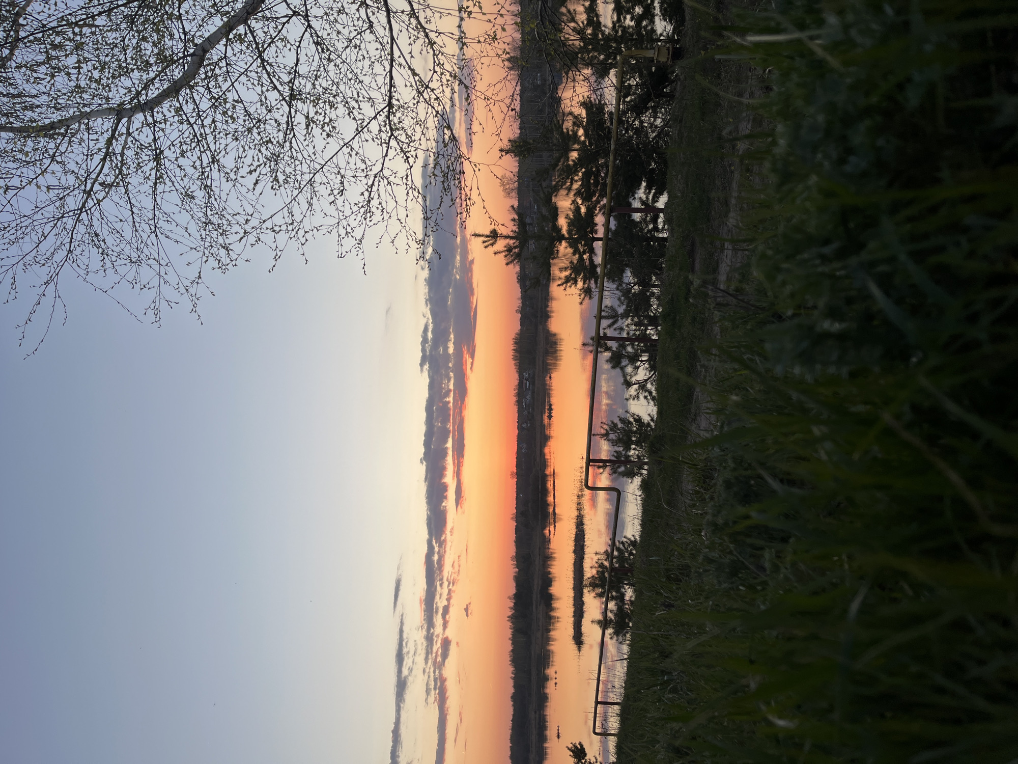 The image shows a sunset over a body of water, possibly the Volga River near Bol'shoye Kozino, Russia. The sky transitions from a light blue to orange and pink hues with clouds. Trees are silhouetted against the sunset along the waterfront. A metal railing is visible along the shore. Tall green grass is in the foreground on the right side of the image, and bare branches of a tree are in the upper left corner. The photo appears to be taken at ground level.